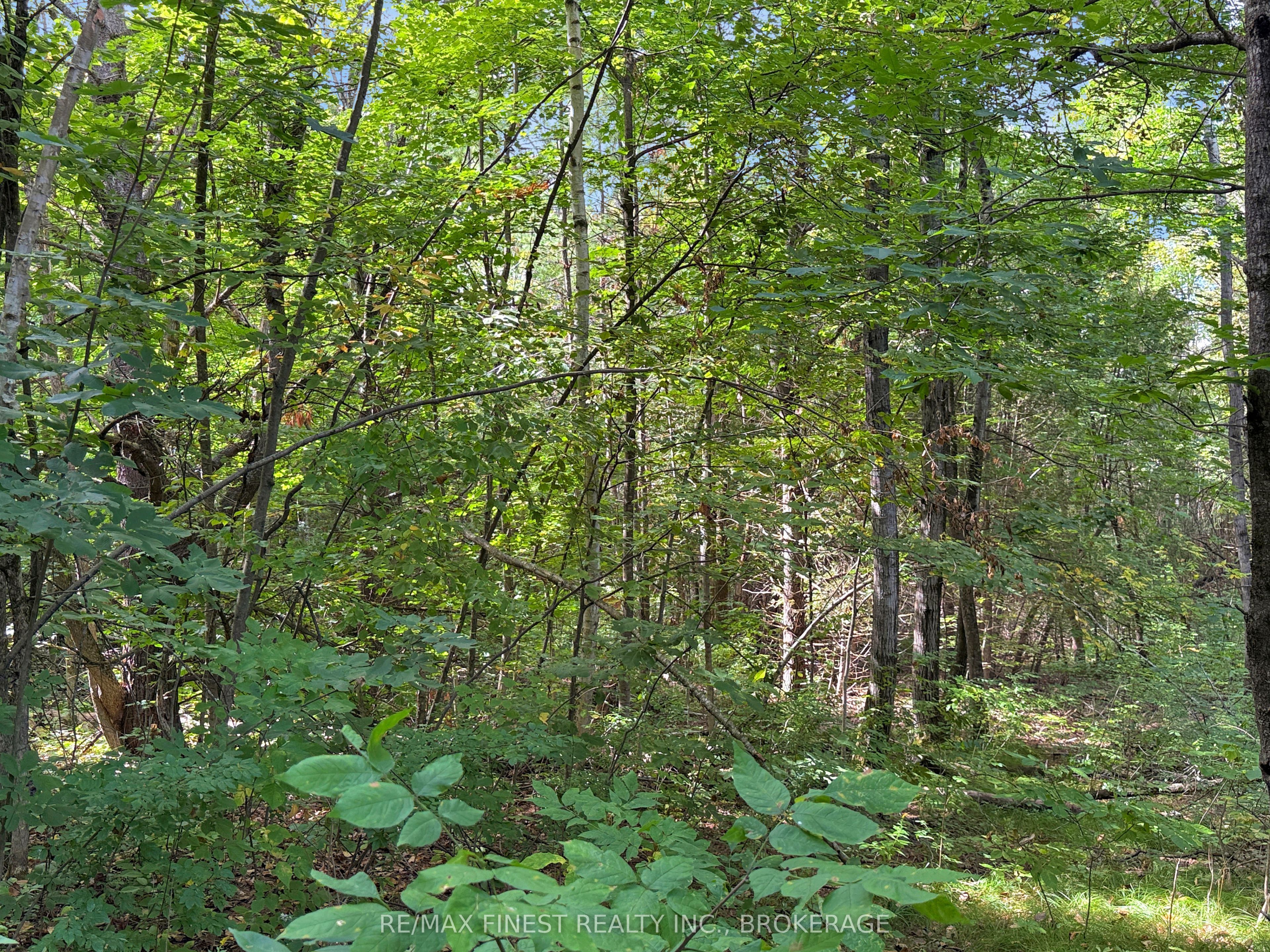 4900 County Rd 4 Property Photo 6
