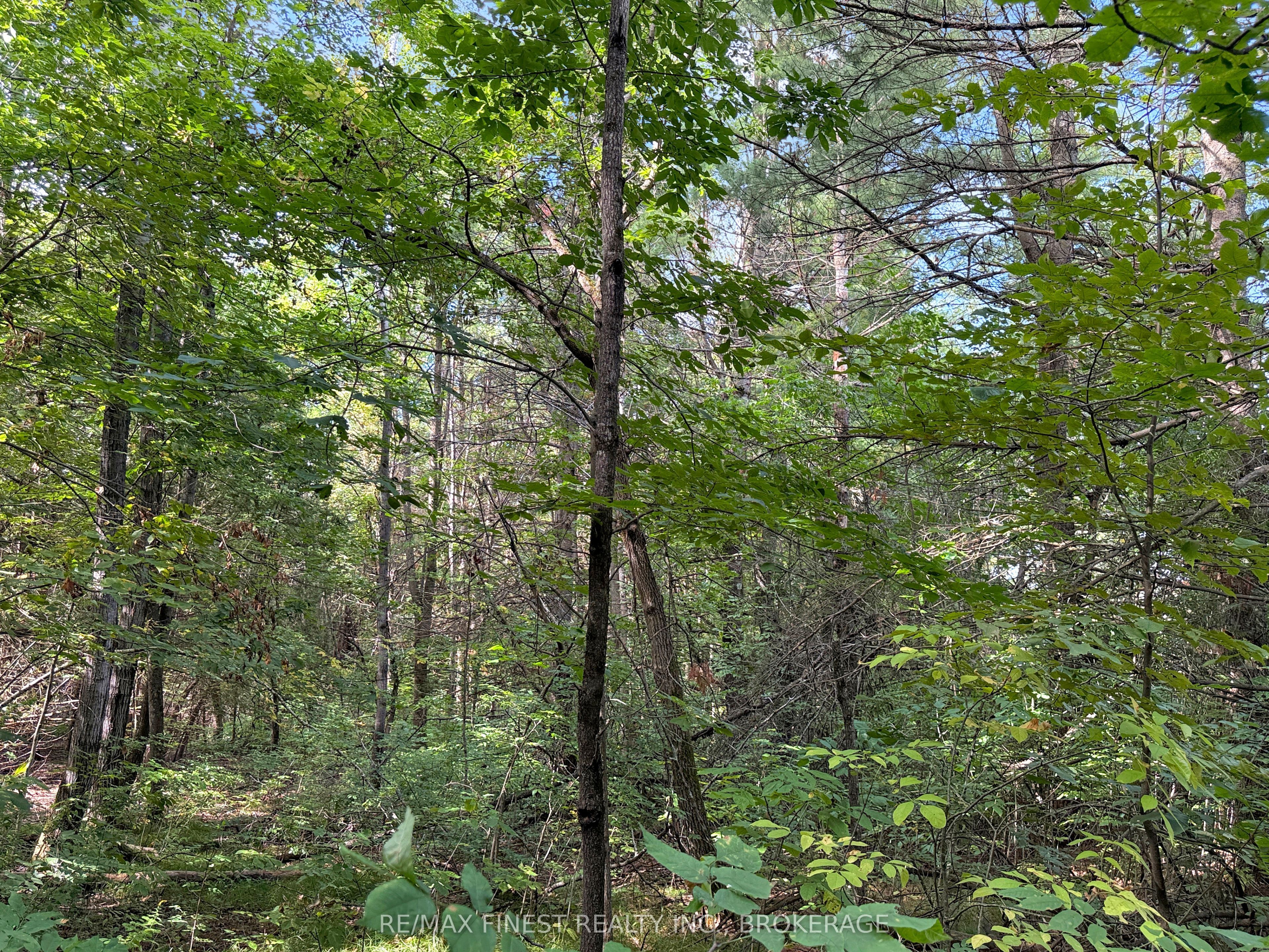 4900 County Rd 4 Property Photo 7