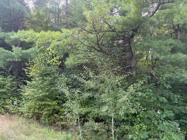 4900 County Rd 4 Property Photo 9