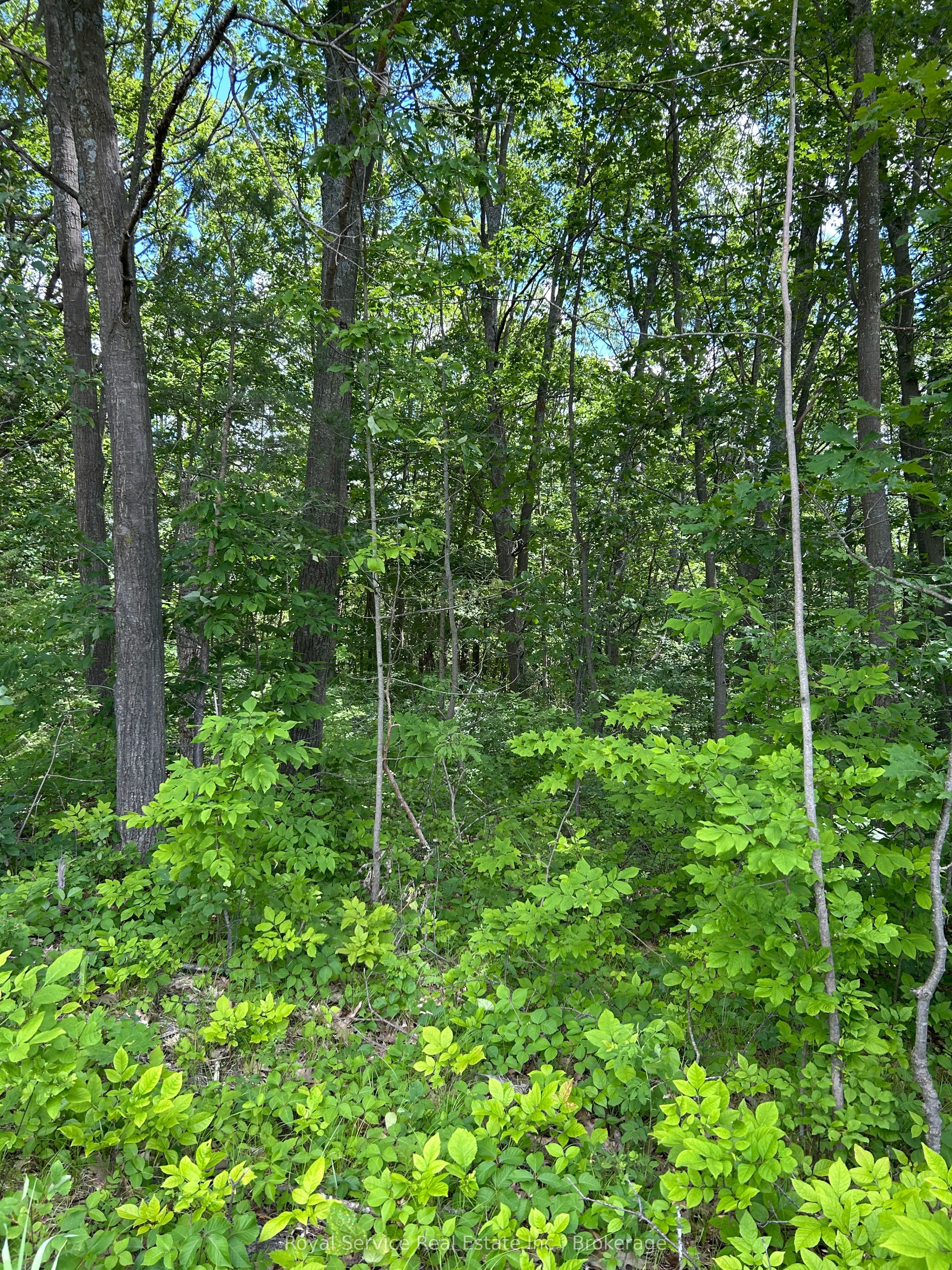 101 Property Photo 1