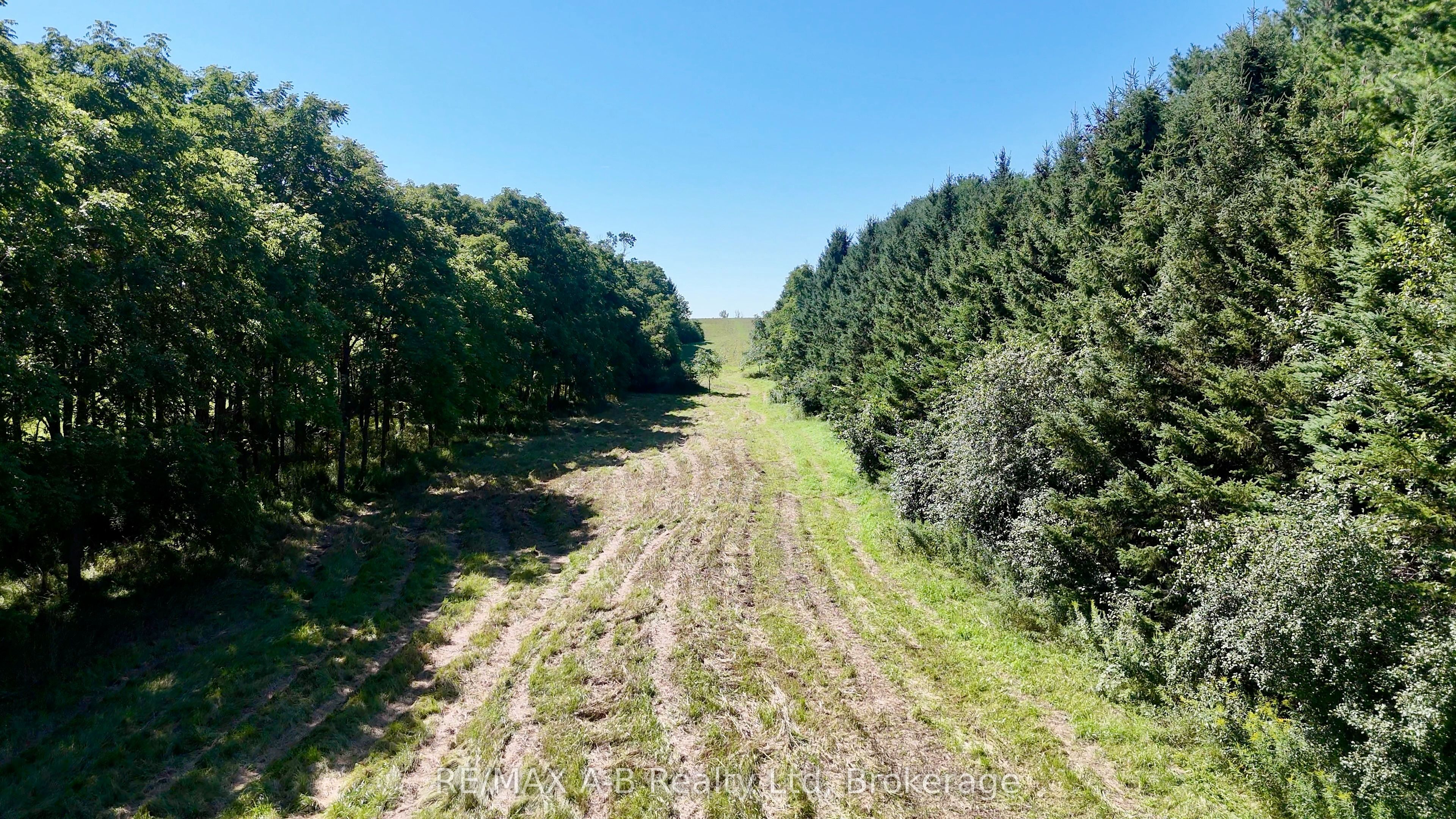 4225 Line 7 Property Photo 13