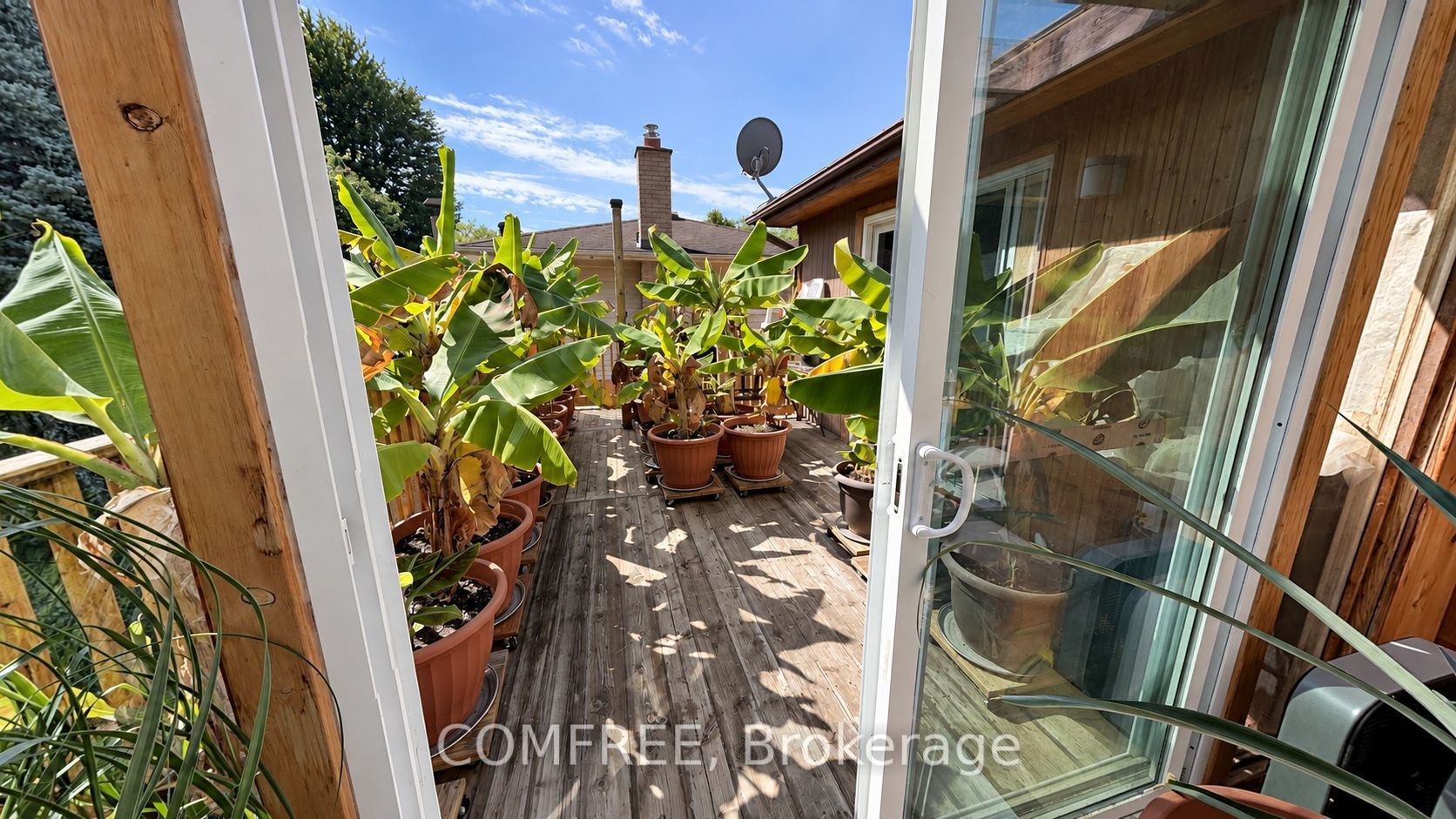 2602 Olden Avenue Property Photo 11