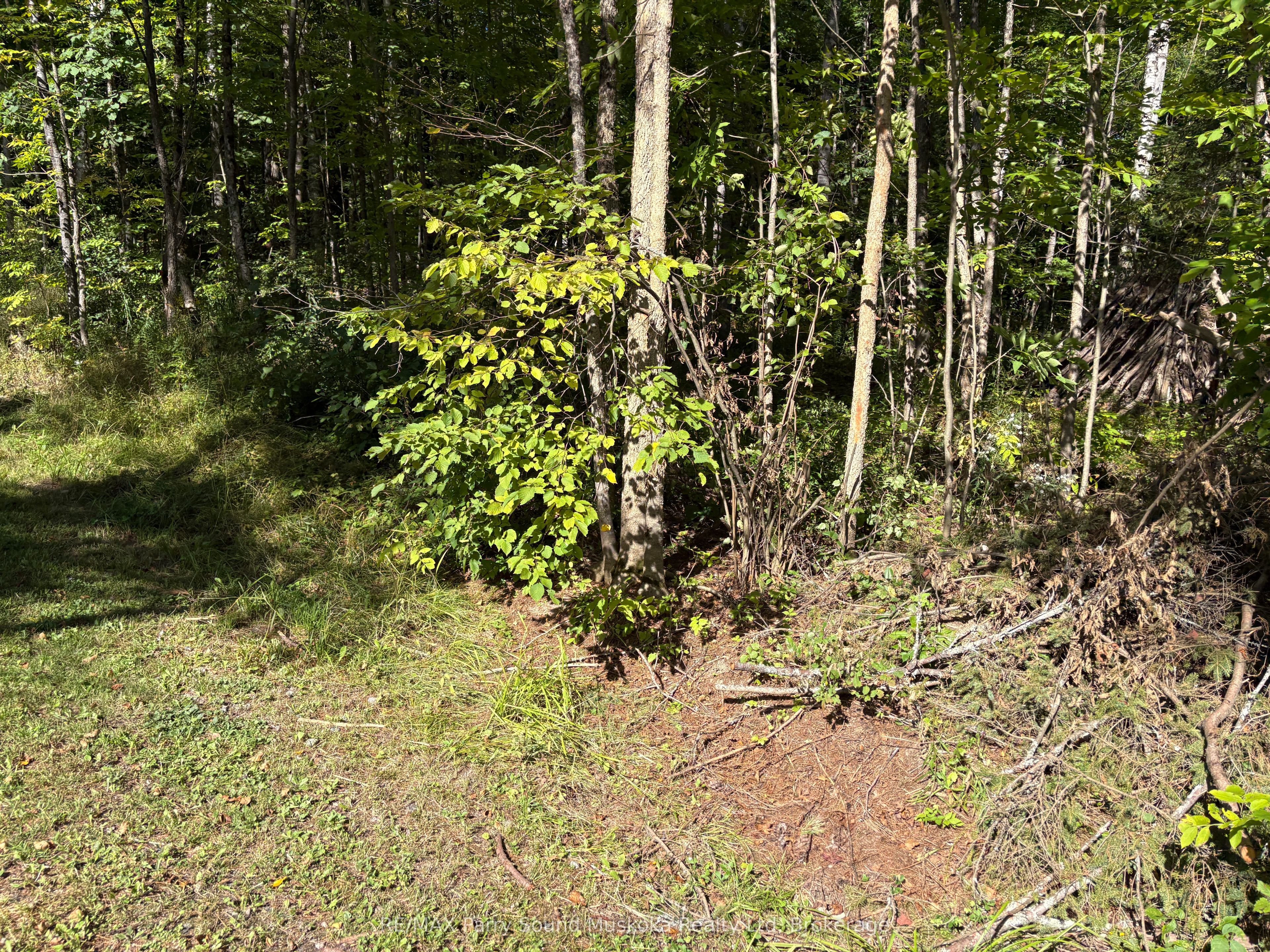 0 Pine Road Property Photo 1