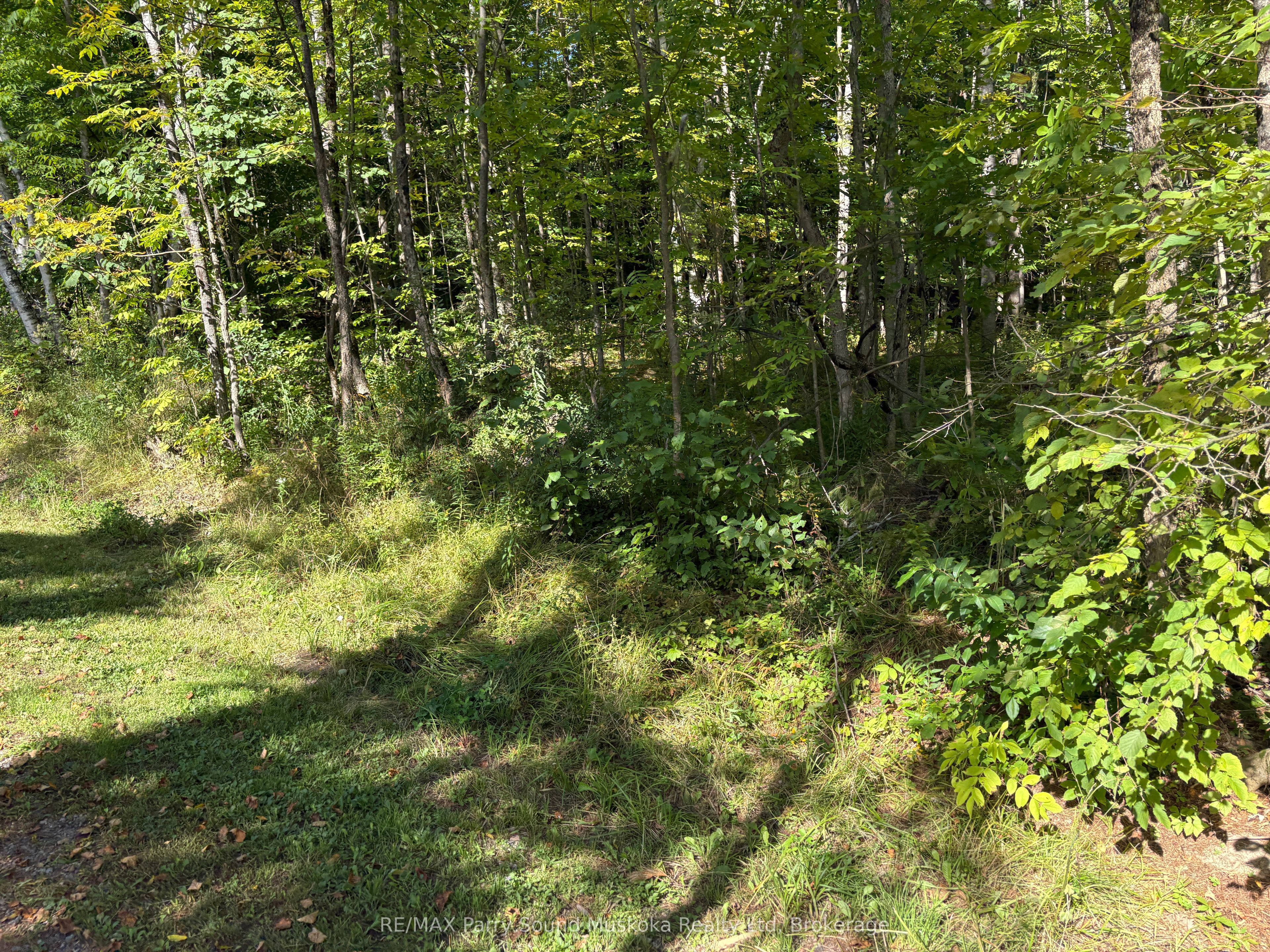 0 Pine Road Property Photo 4