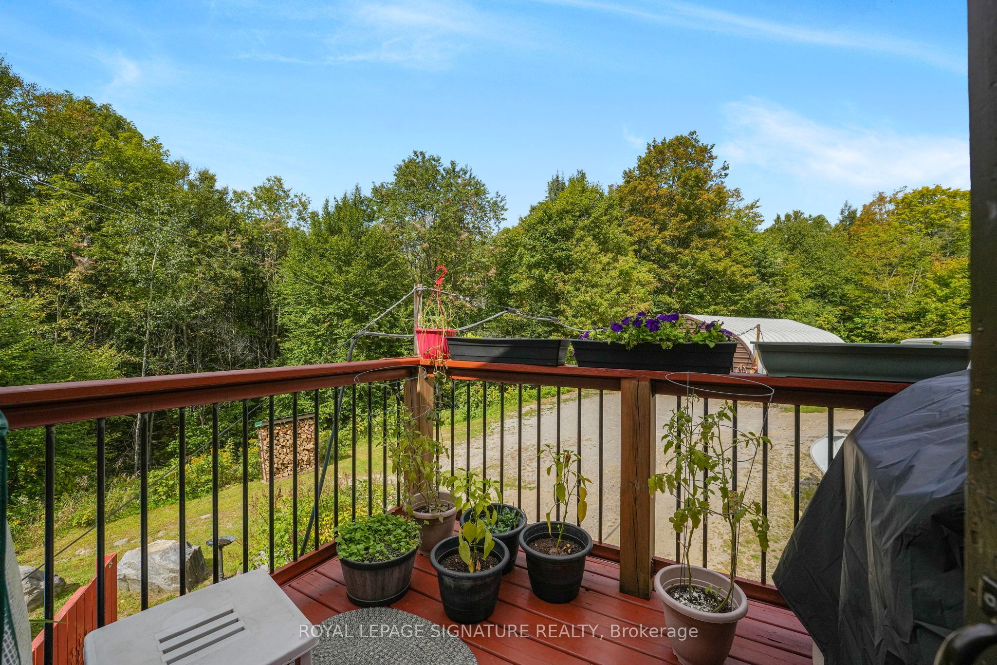 4177 Kennisis Lake Road Property Photo 10
