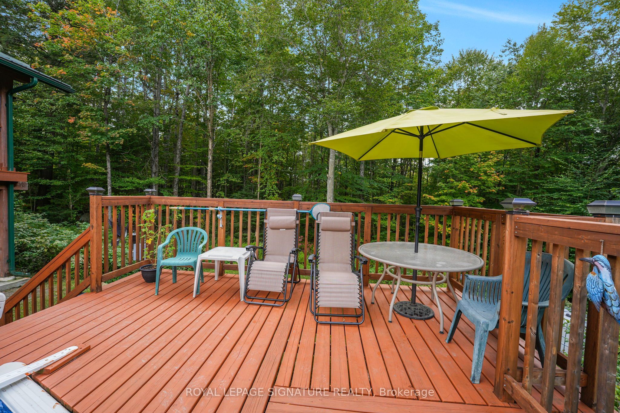 4177 Kennisis Lake Road Property Photo 39