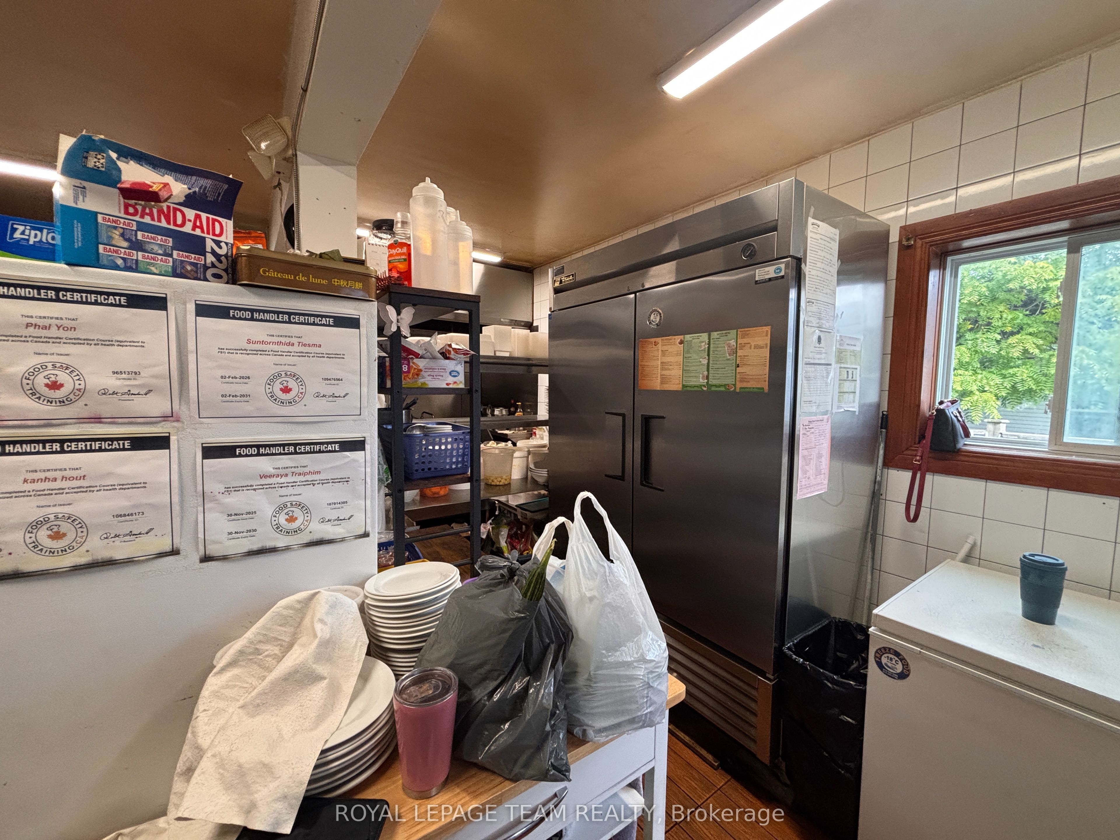15 Allan Street Property Photo 13