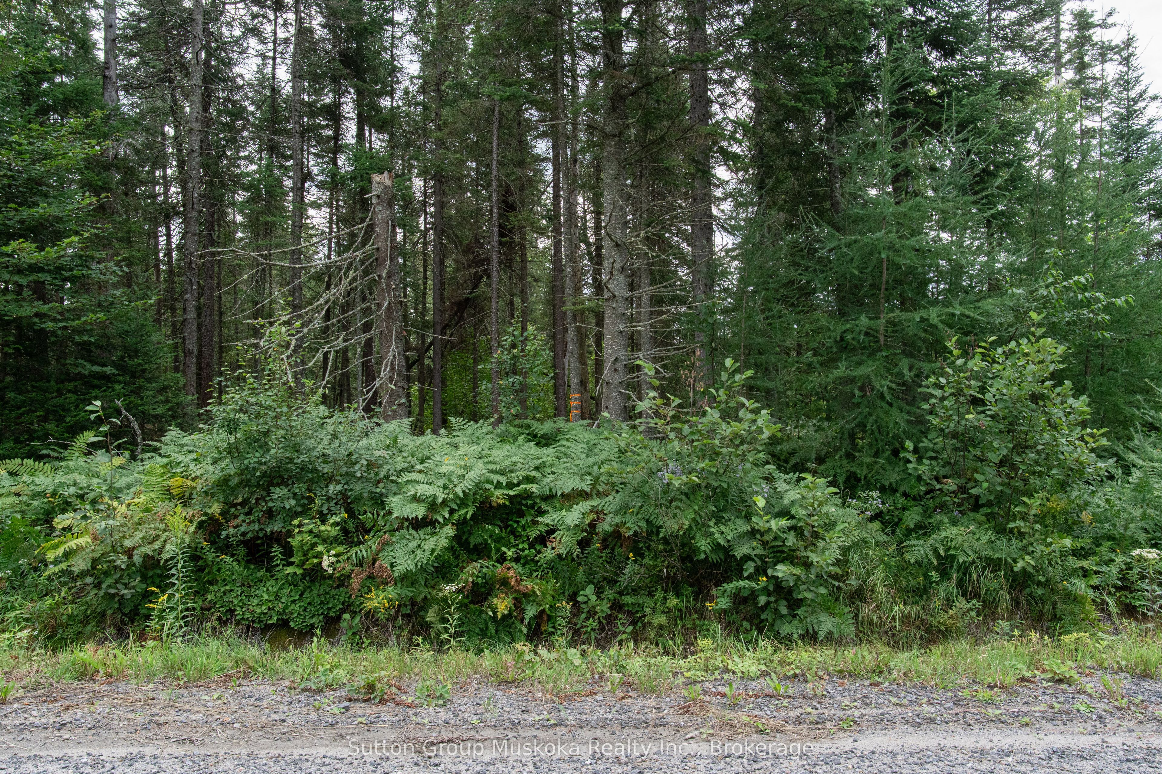 2360 Etwell Road Property Photo 20