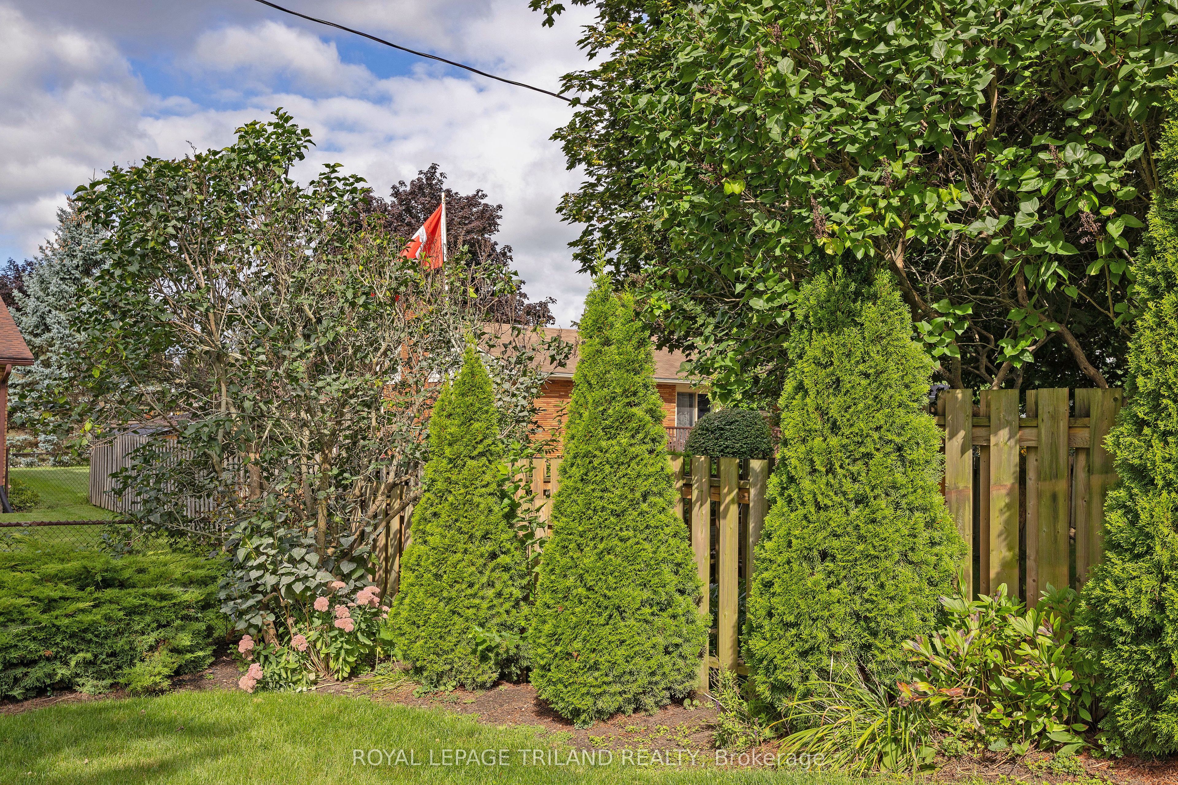 16 Sparta Street Property Photo 38