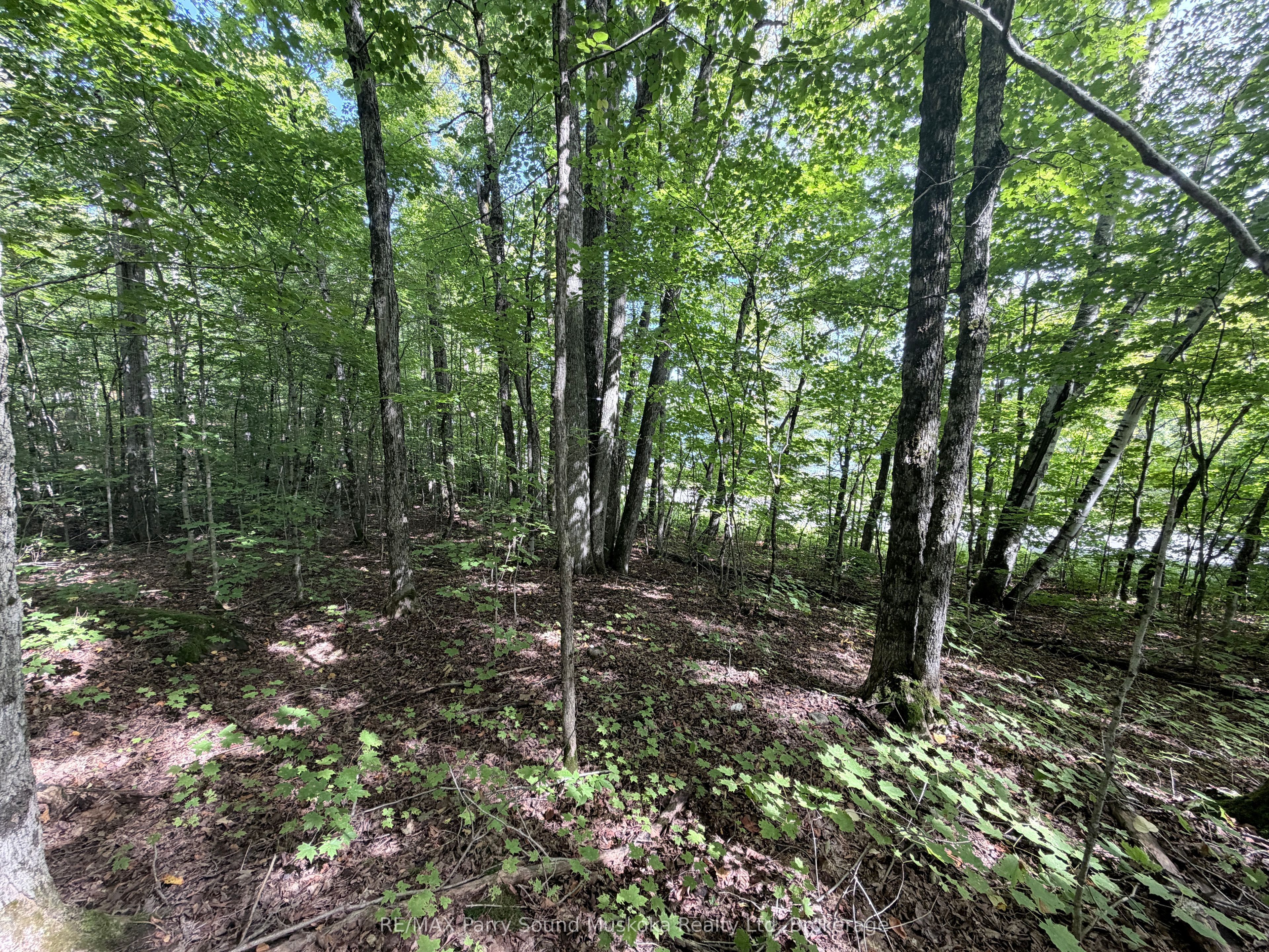 0-150 Tait's Island Road Property Photo 12