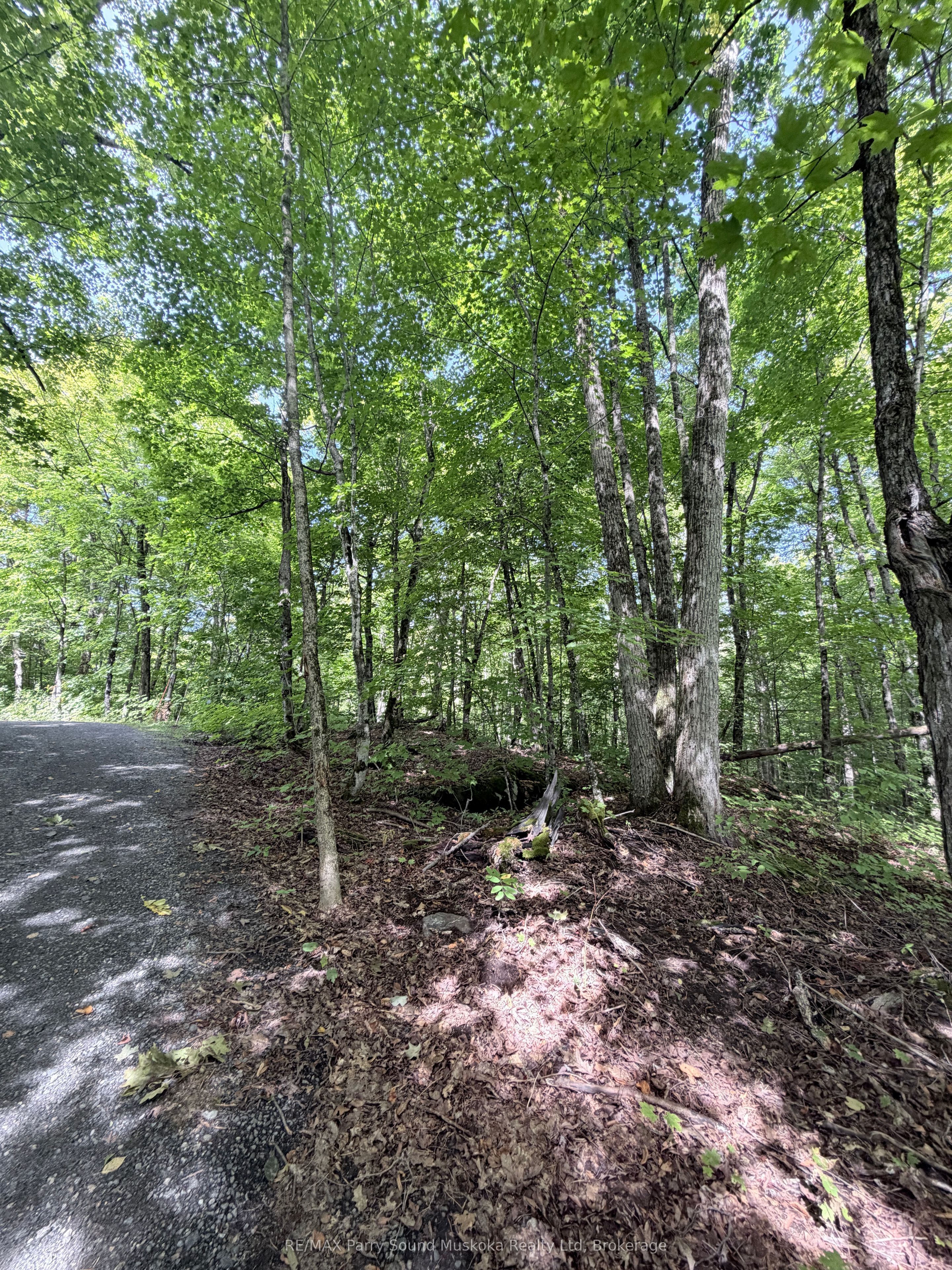 0-150 Tait's Island Road Property Photo 13