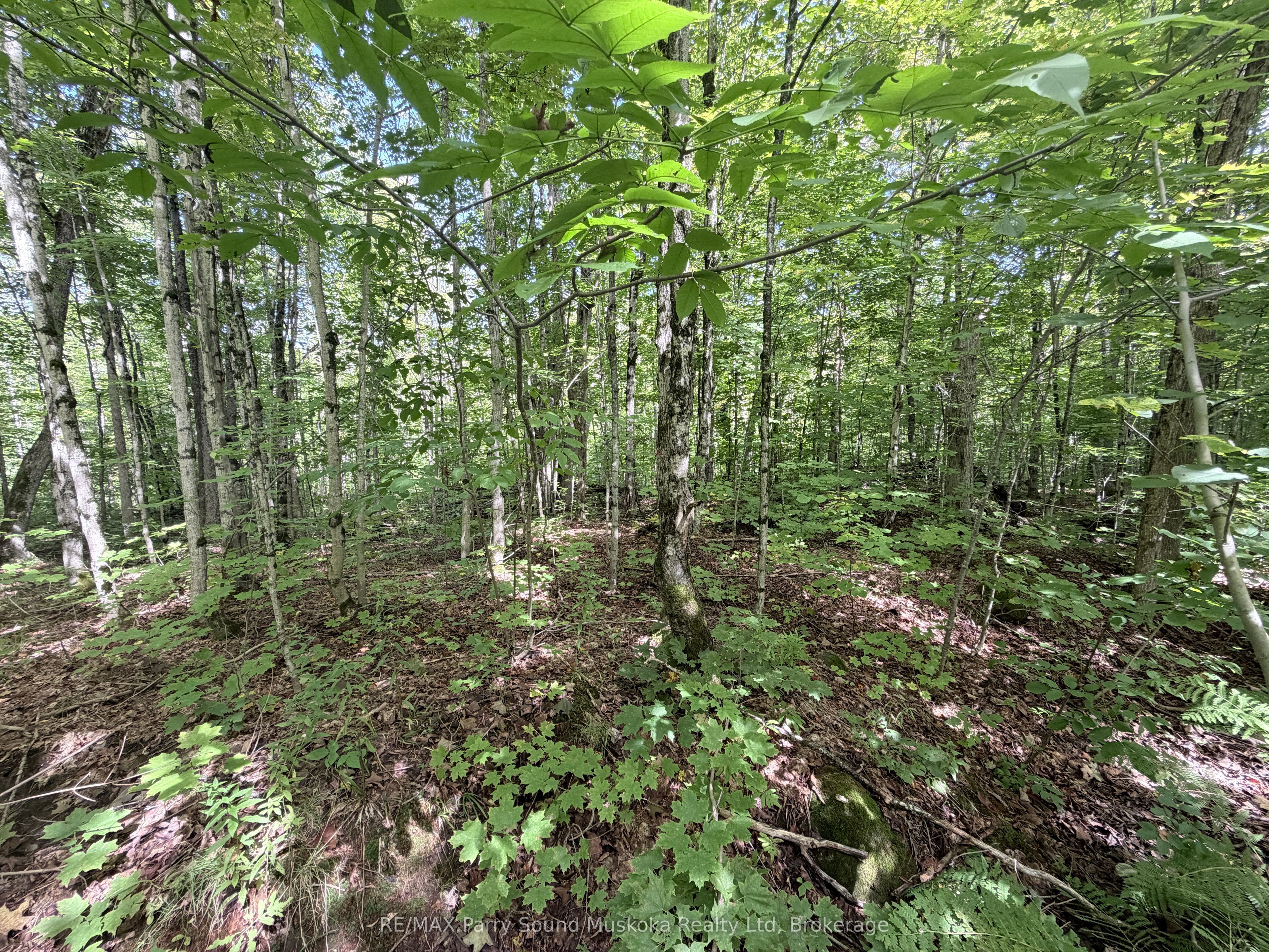 0-150 Tait's Island Road Property Photo 15