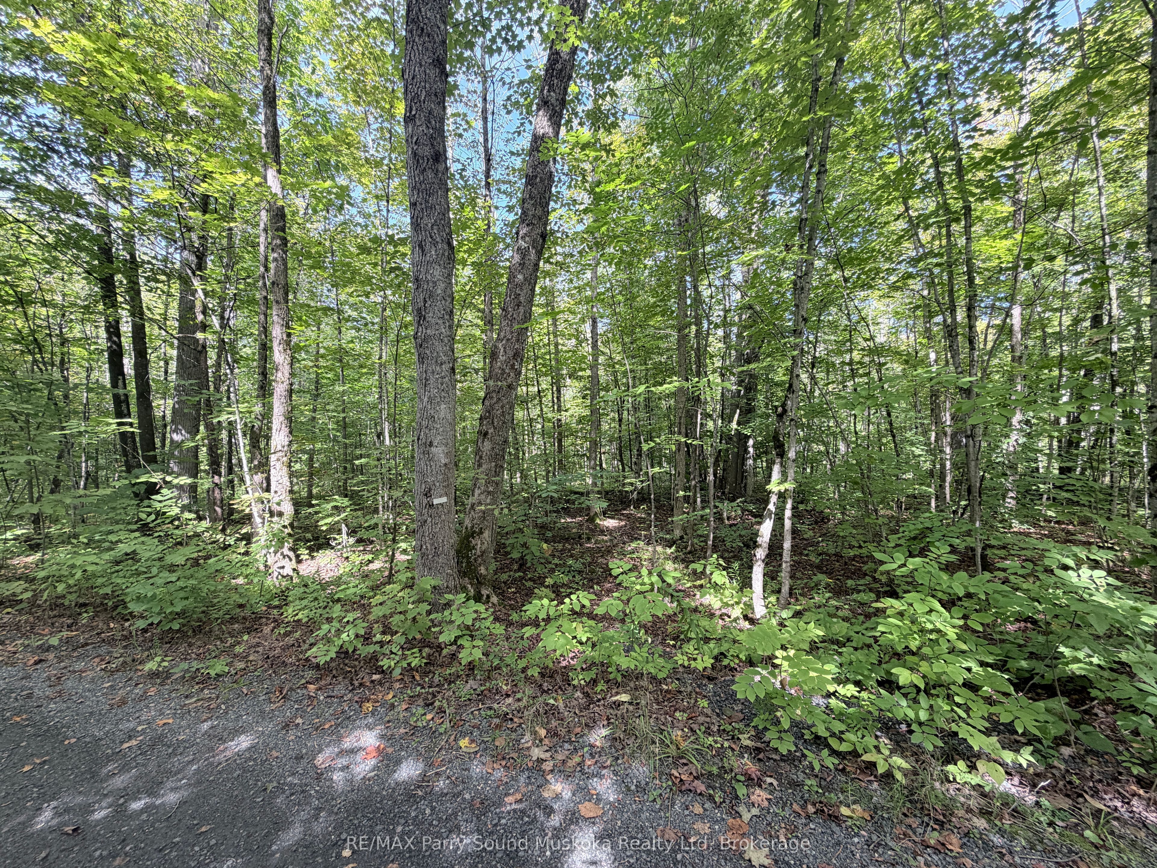 0-150 Tait's Island Road Property Photo 16