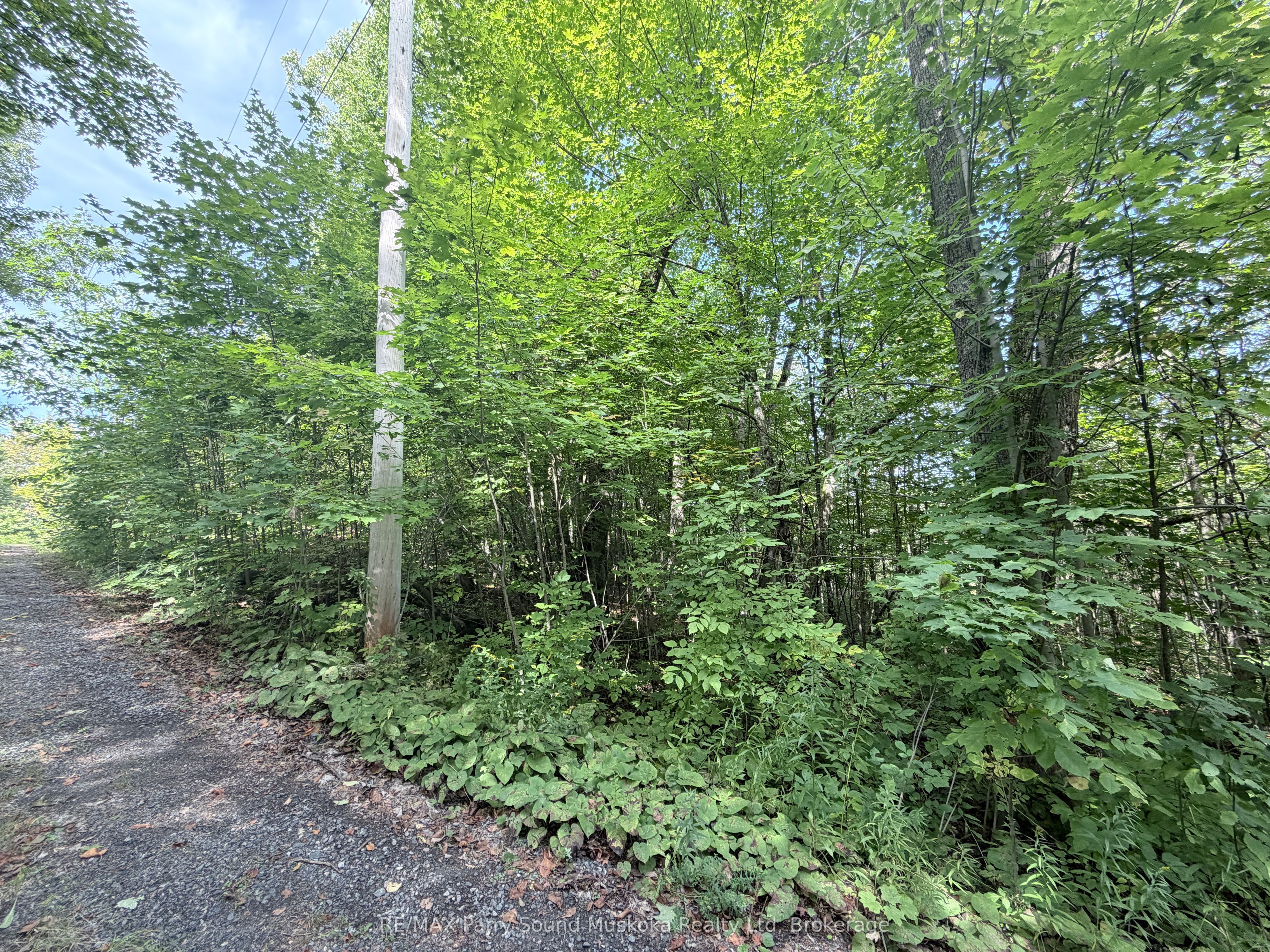 0-150 Tait's Island Road Property Photo 17