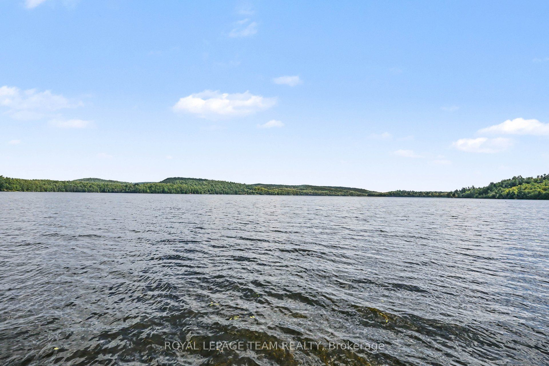 1029 Rosie Lane Property Photo 45