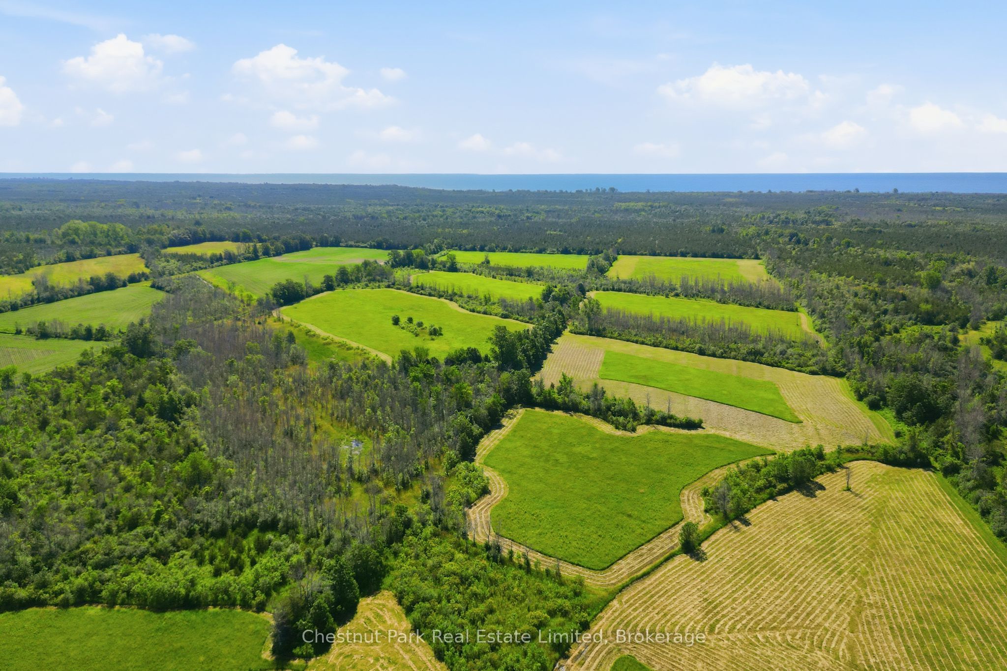 2650 County Road 13 Property Photo 12