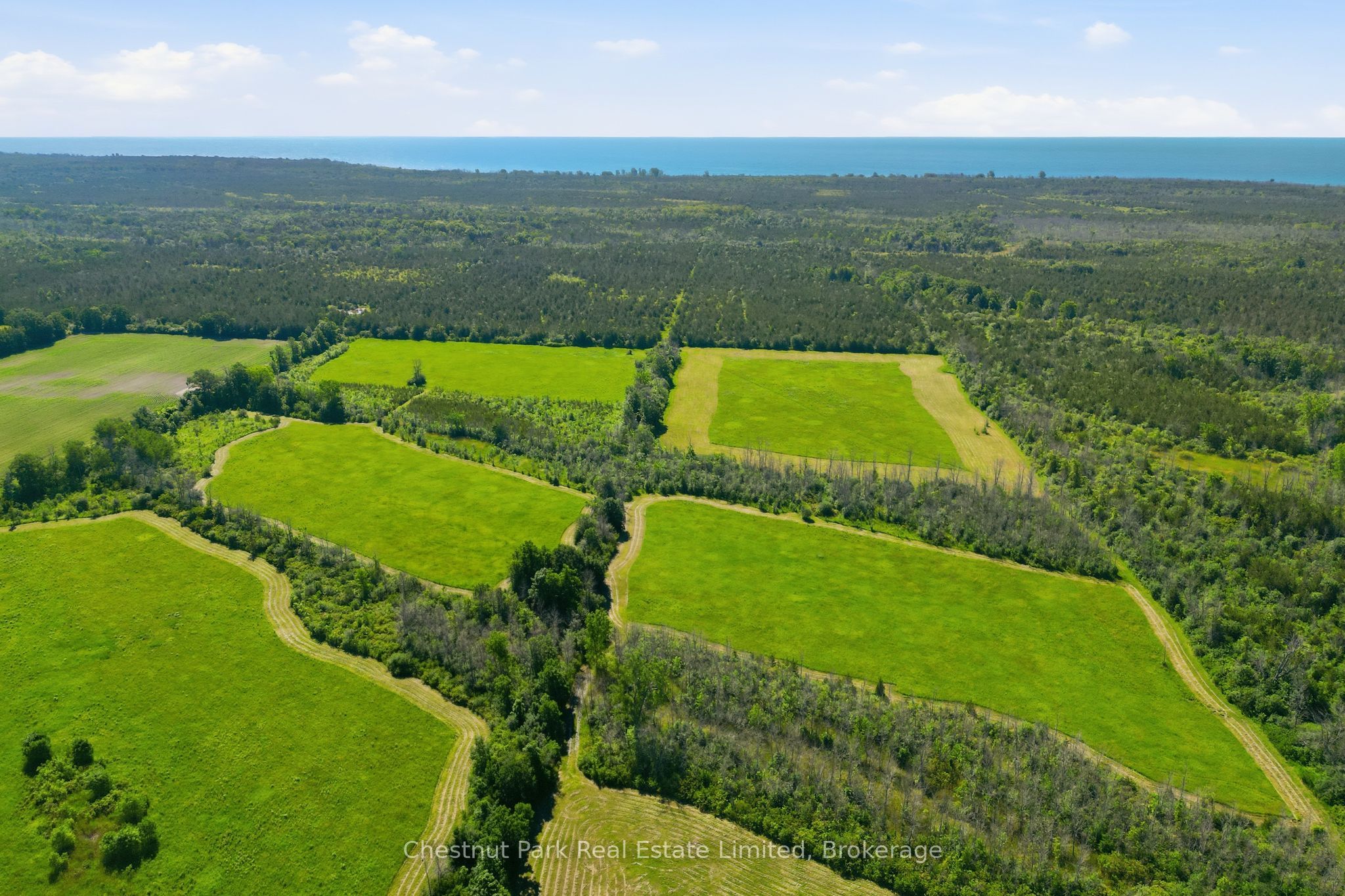 2650 County Road 13 Property Photo 13
