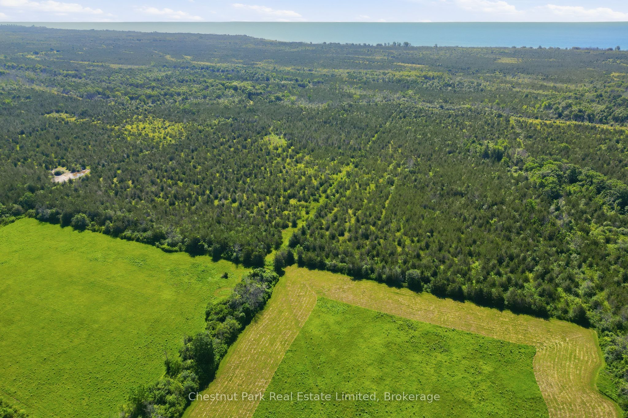 2650 County Road 13 Property Photo 15