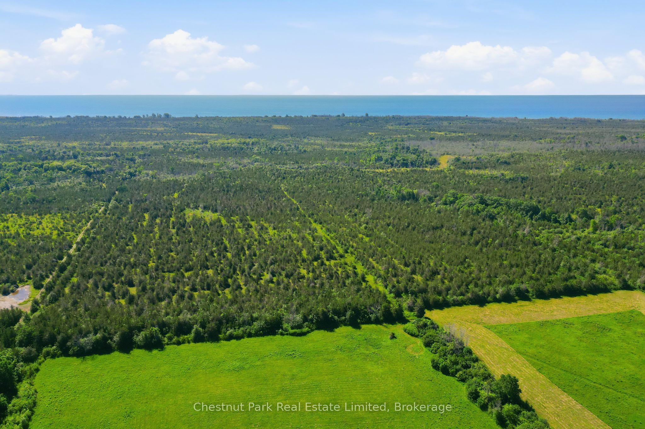 2650 County Road 13 Property Photo 21