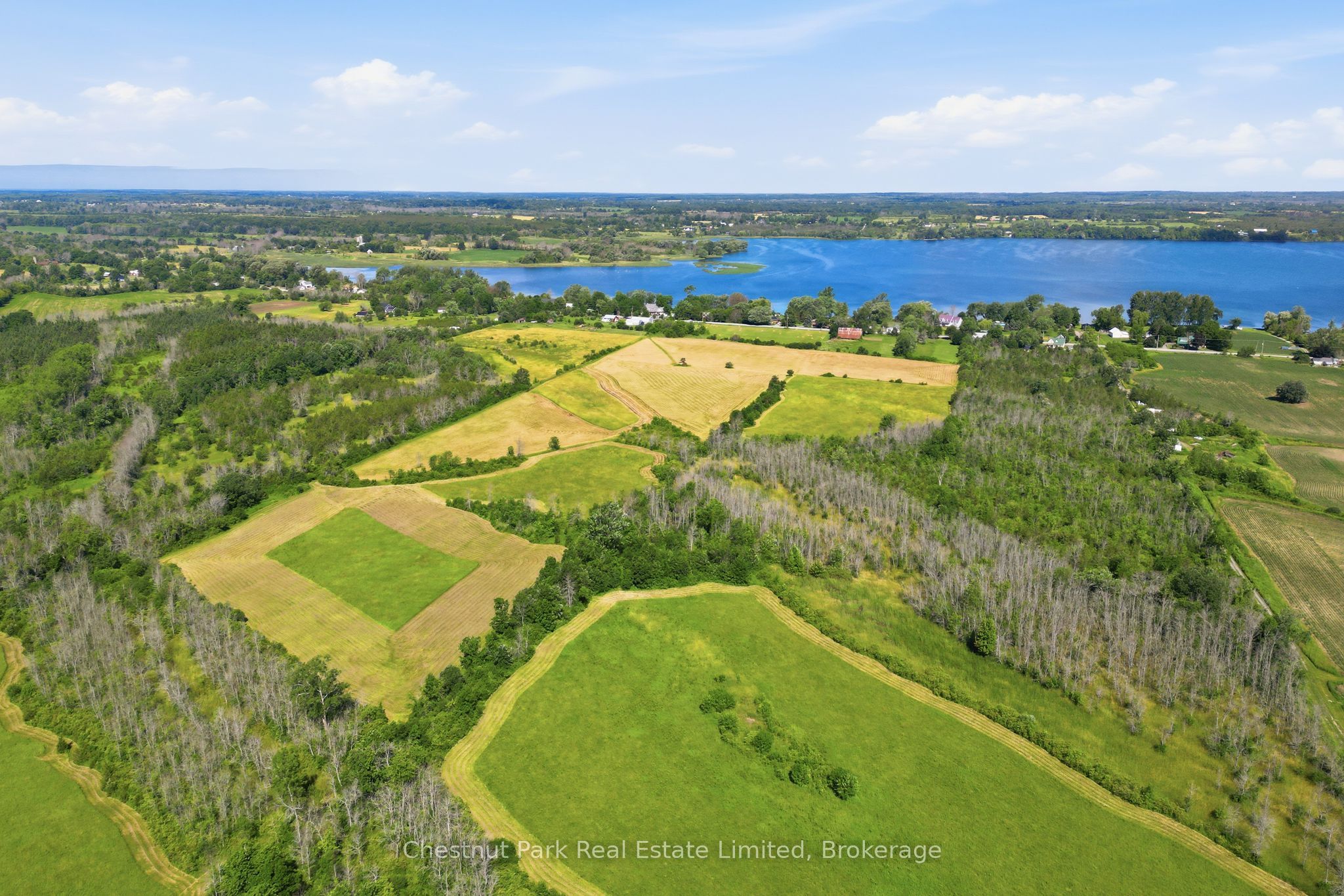 2650 County Road 13 Property Photo 22