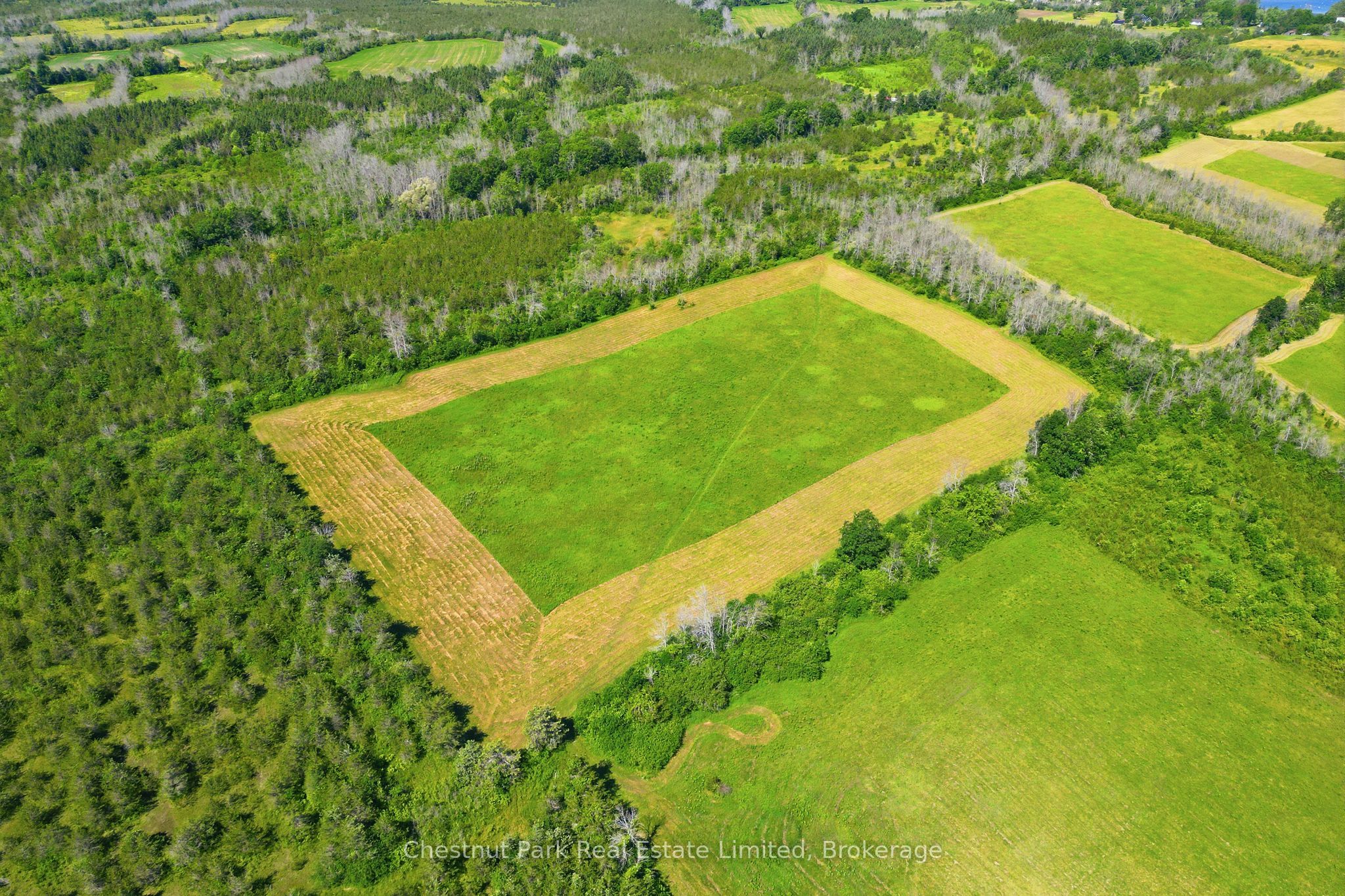 2650 County Road 13 Property Photo 31