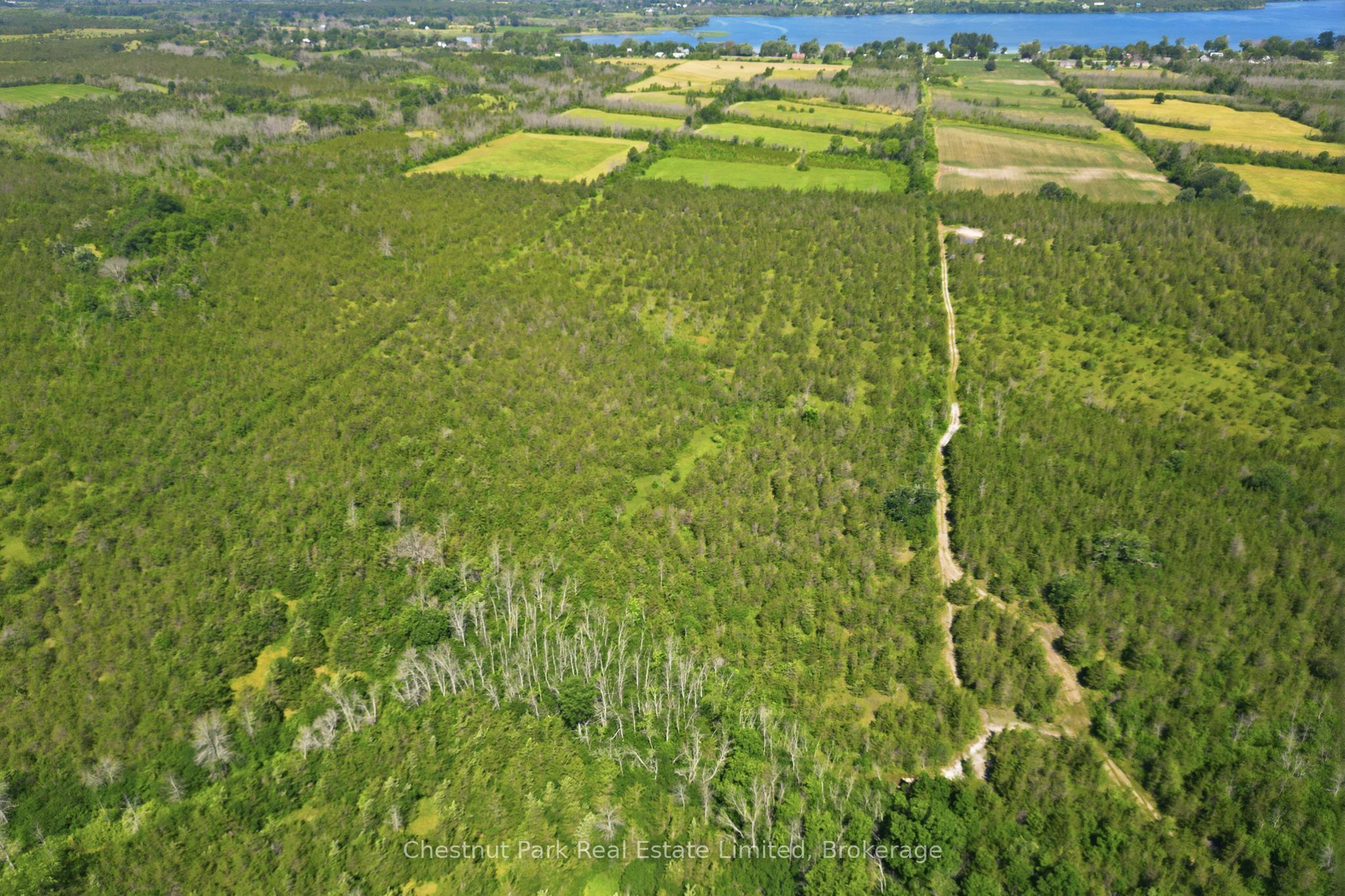 2650 County Road 13 Property Photo 34