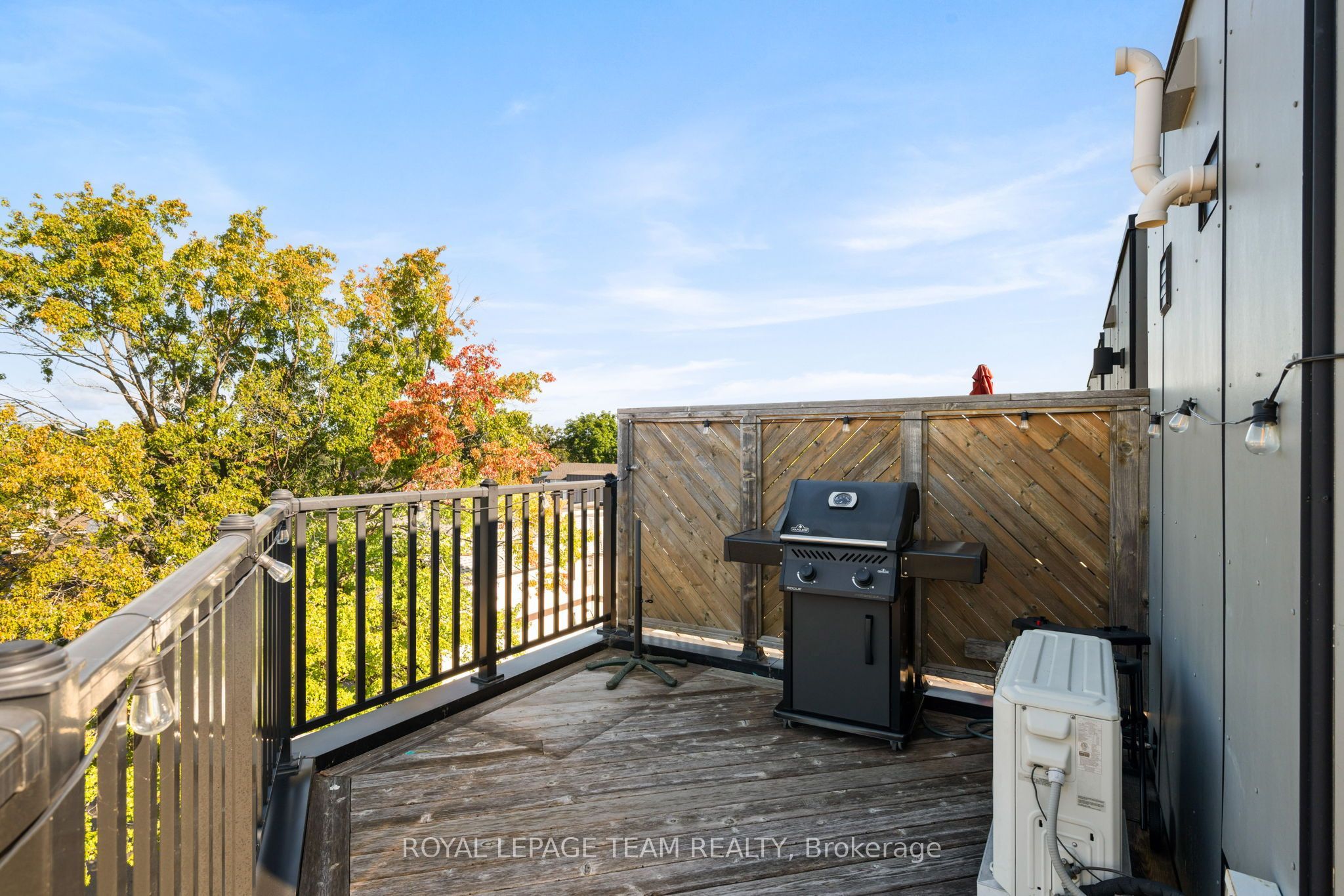 53 Merton Street Property Photo 31