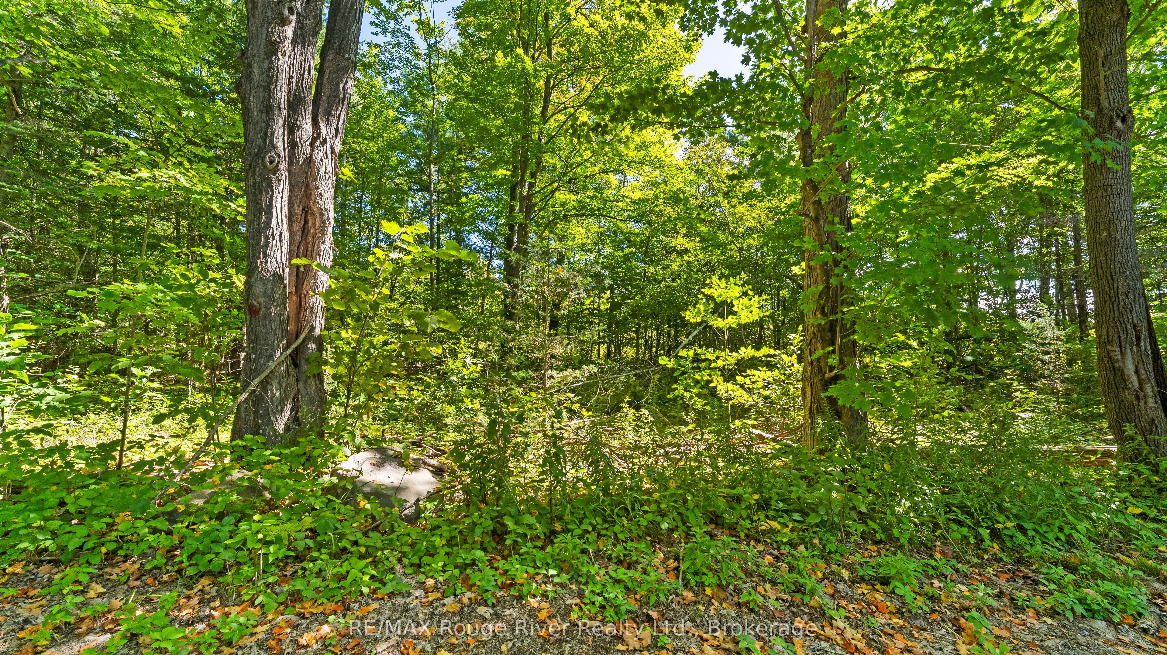 1321 Crowe River Road N Property Photo 9