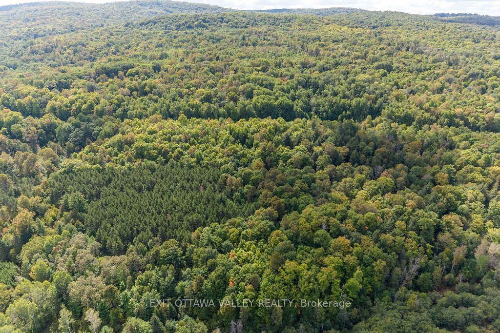 00 Opeongo Road Property Photo 11