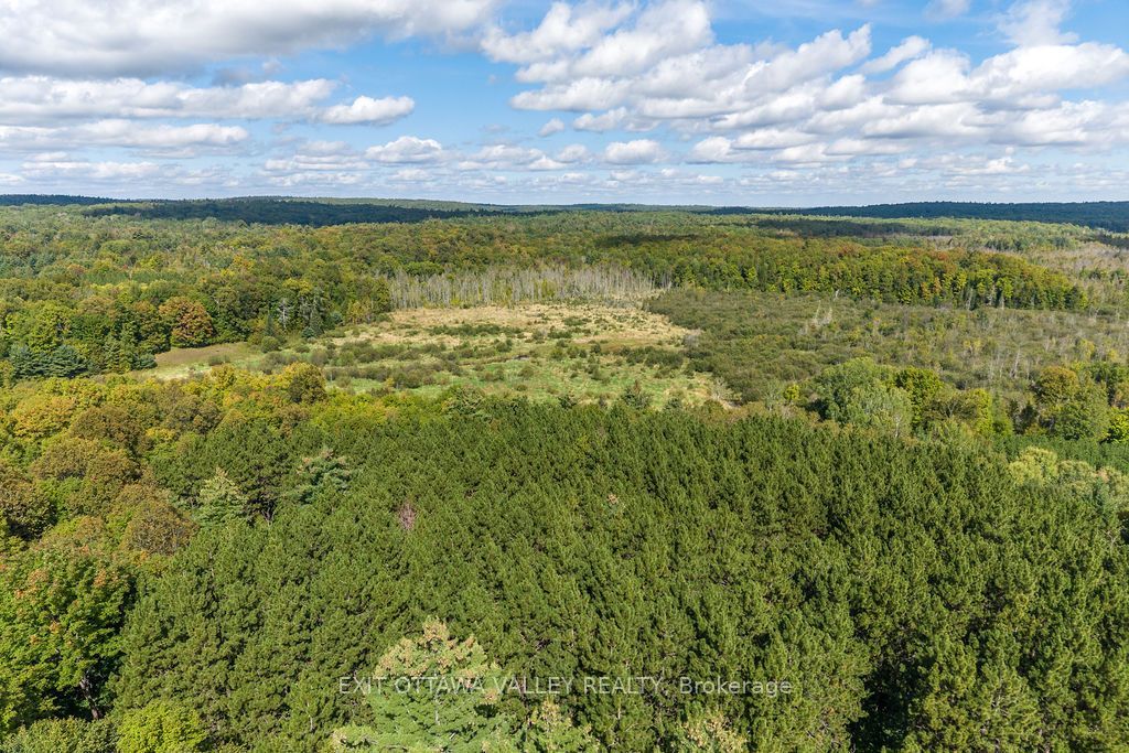 00 Opeongo Road Property Photo 22