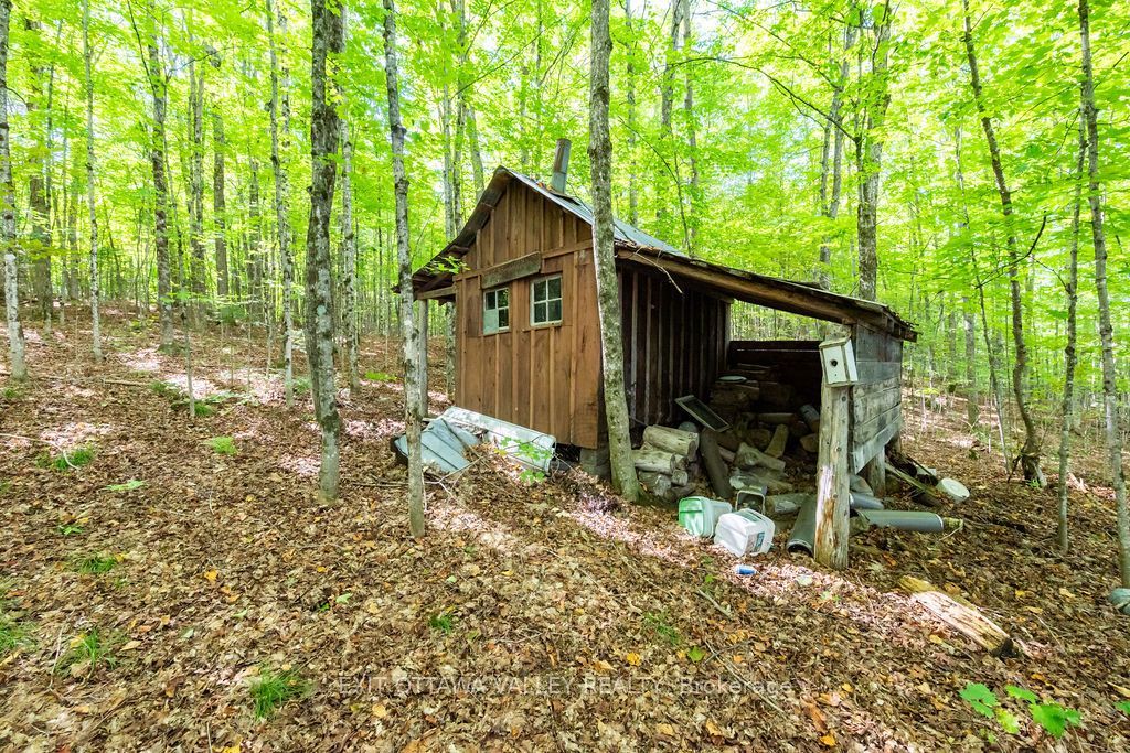 00 Opeongo Road Property Photo 32