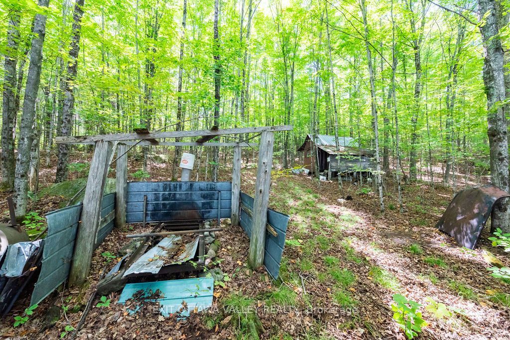 00 Opeongo Road Property Photo 33