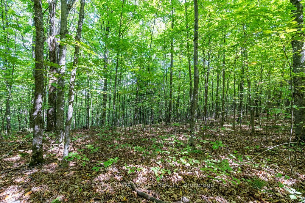 00 Opeongo Road Property Photo 34