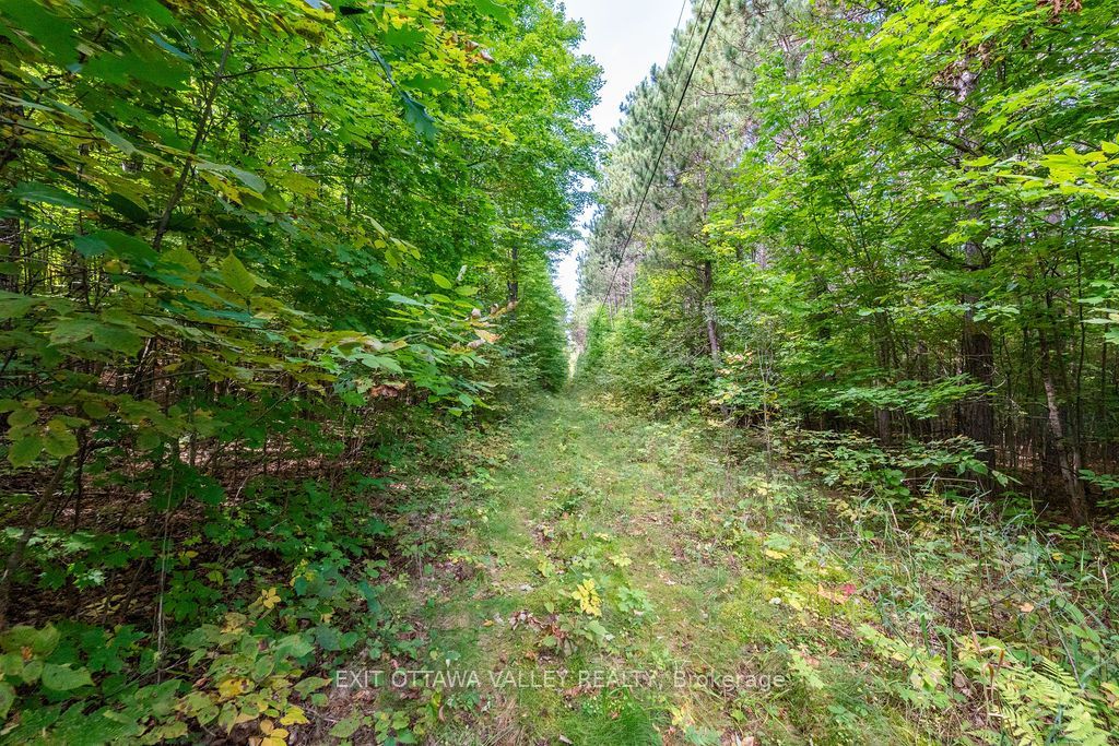 00 Opeongo Road Property Photo 35