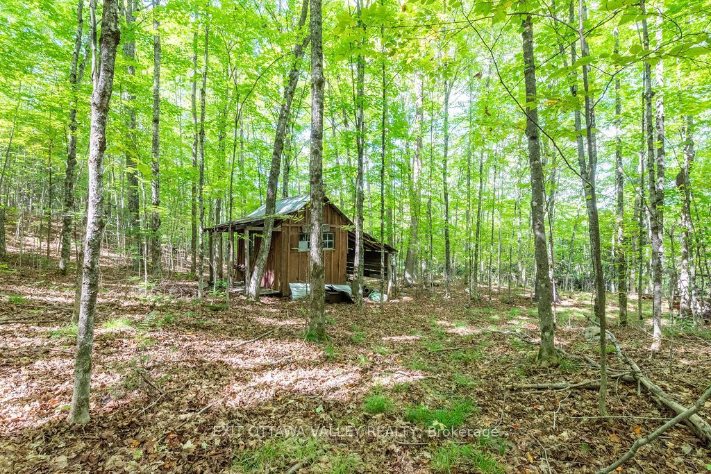 00 Opeongo Road Property Photo 36
