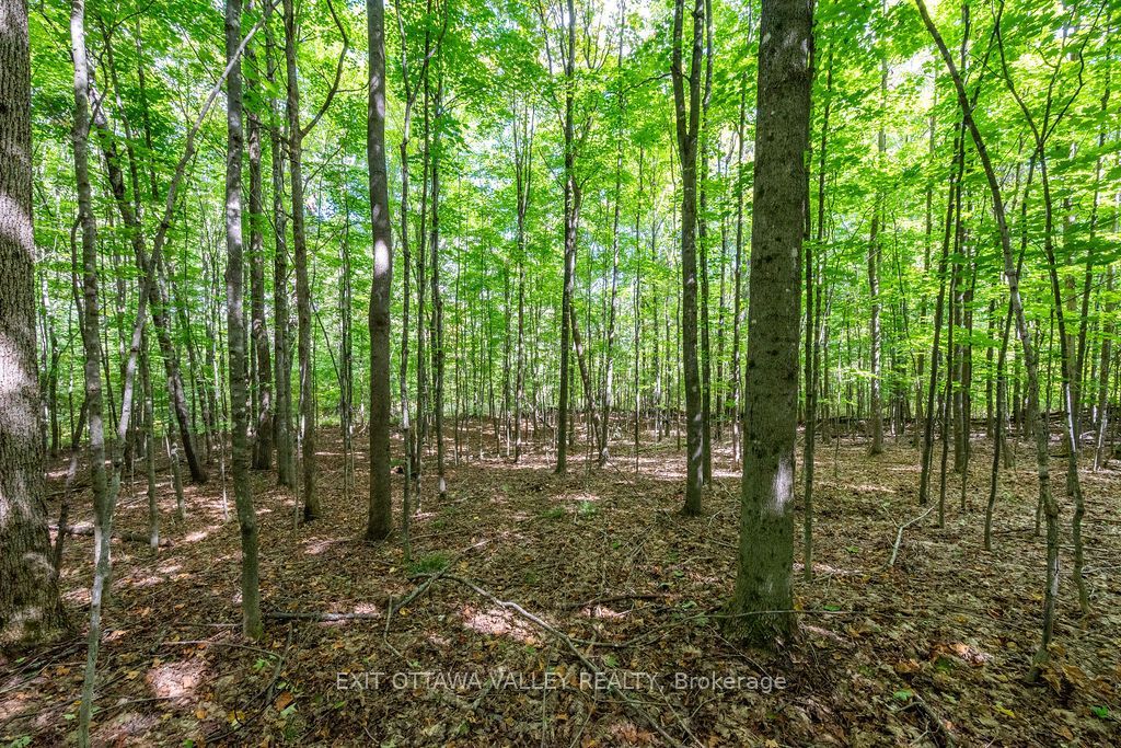 00 Opeongo Road Property Photo 37