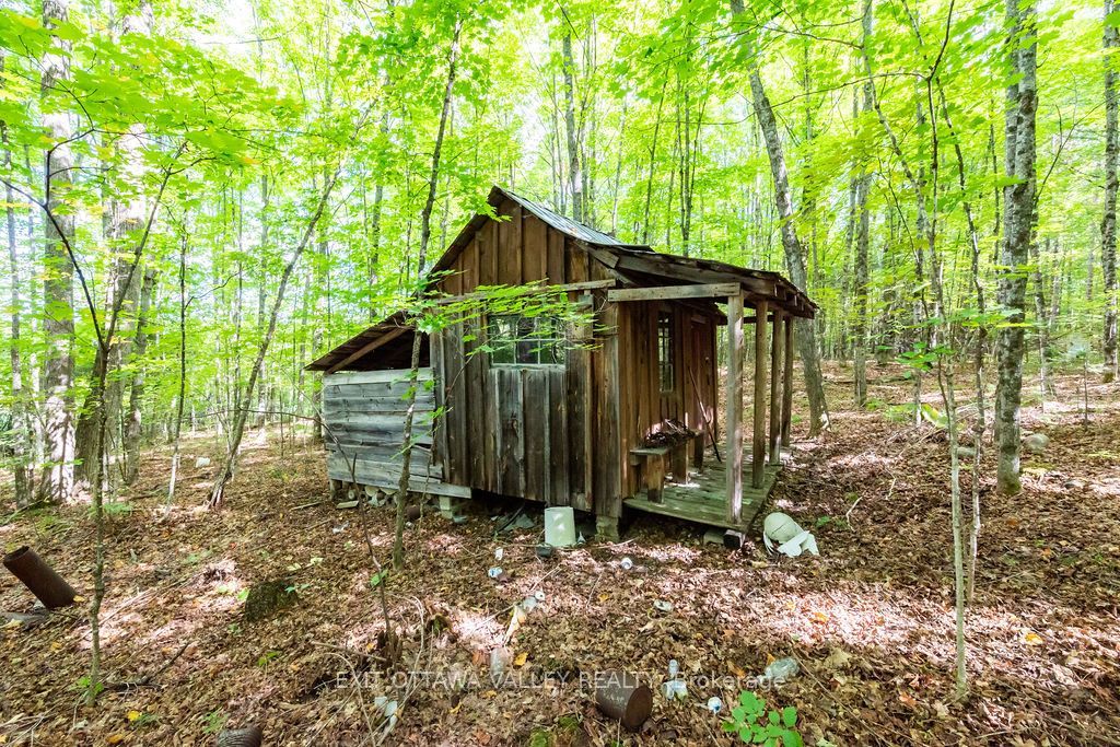 00 Opeongo Road Property Photo 38