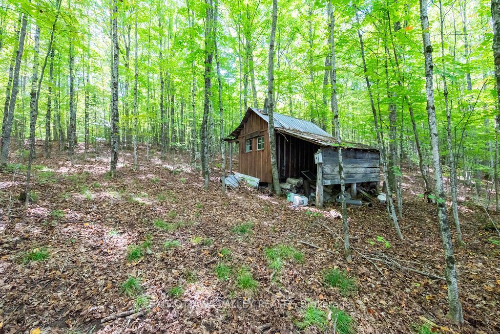 00 Opeongo Road Property Photo 39