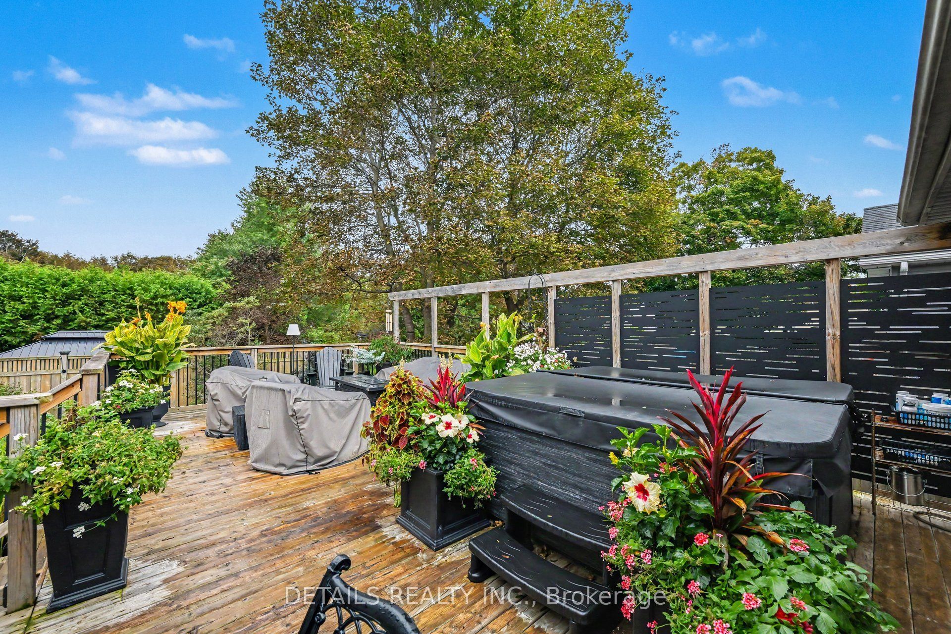 8 Francis Street Property Photo 38