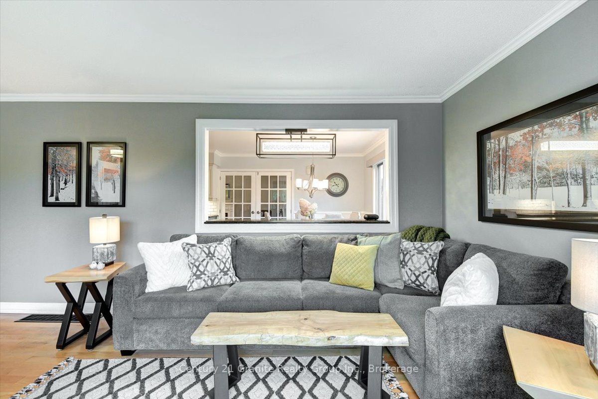 5 Forest Hill Road Property Photo 19