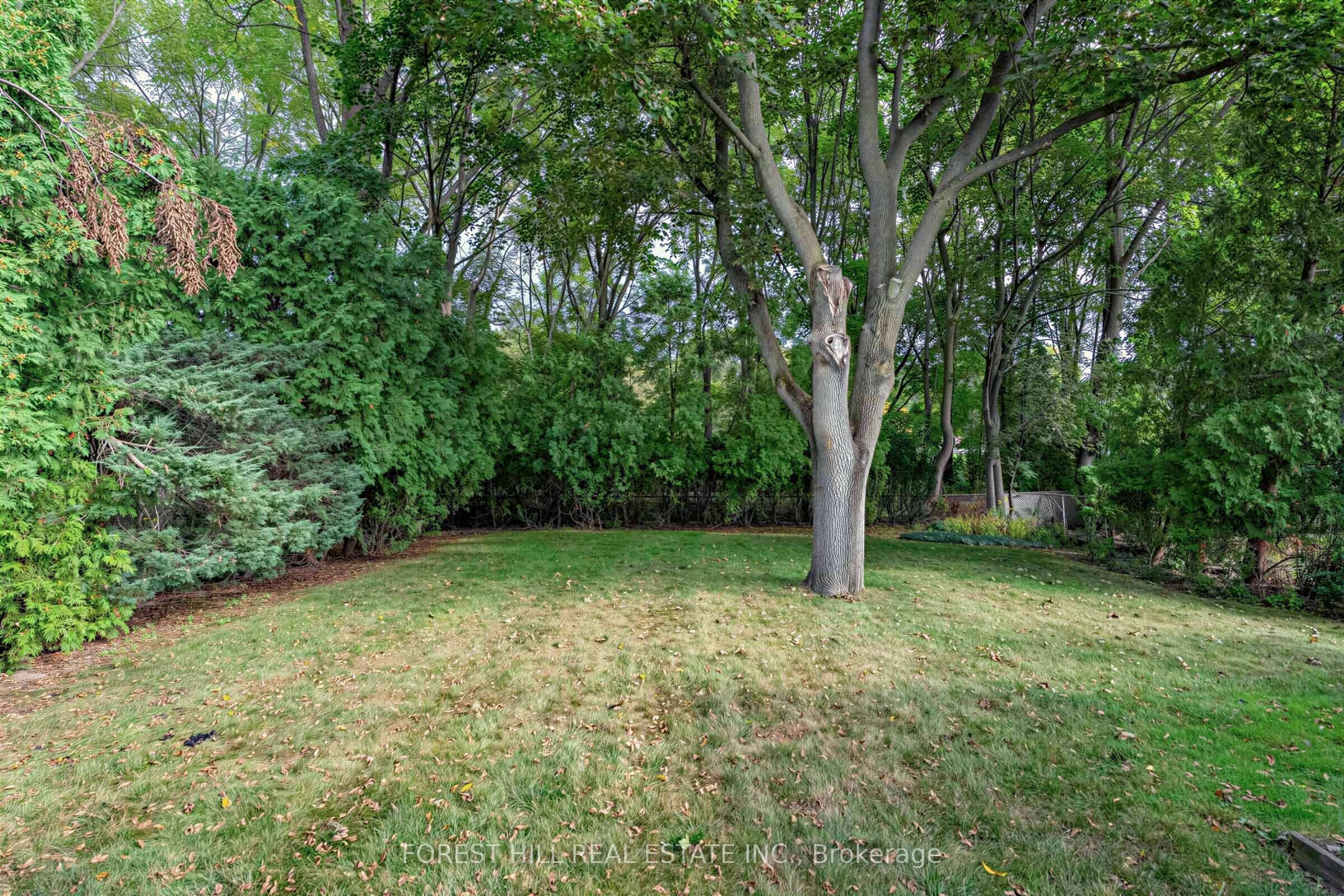 56 Little John Road Property Photo 33