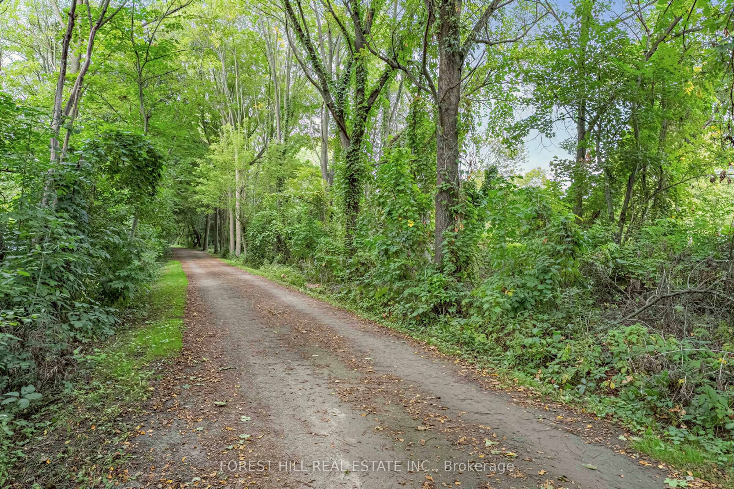 56 Little John Road Property Photo 34