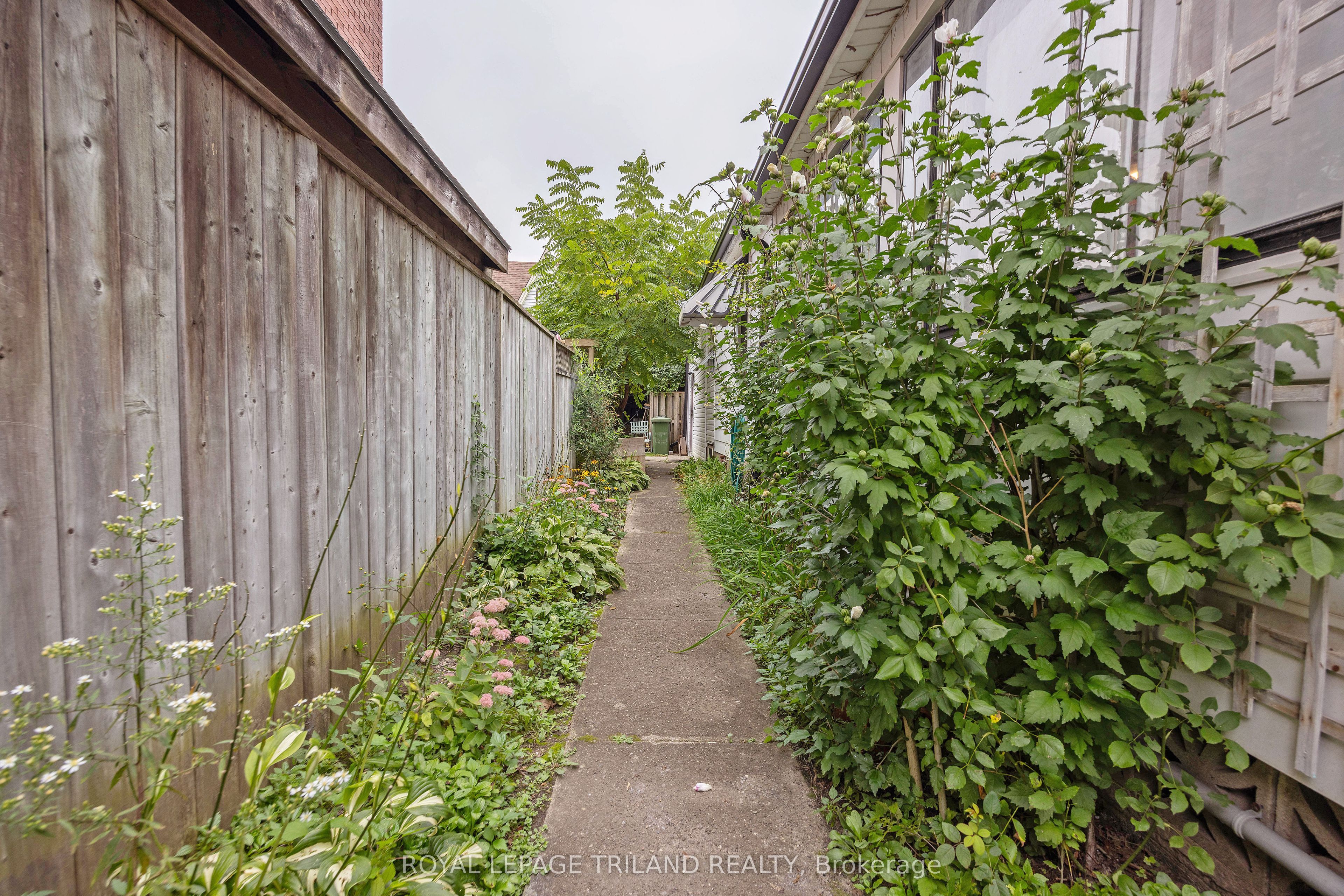 59 Elizabeth Street Property Photo 28