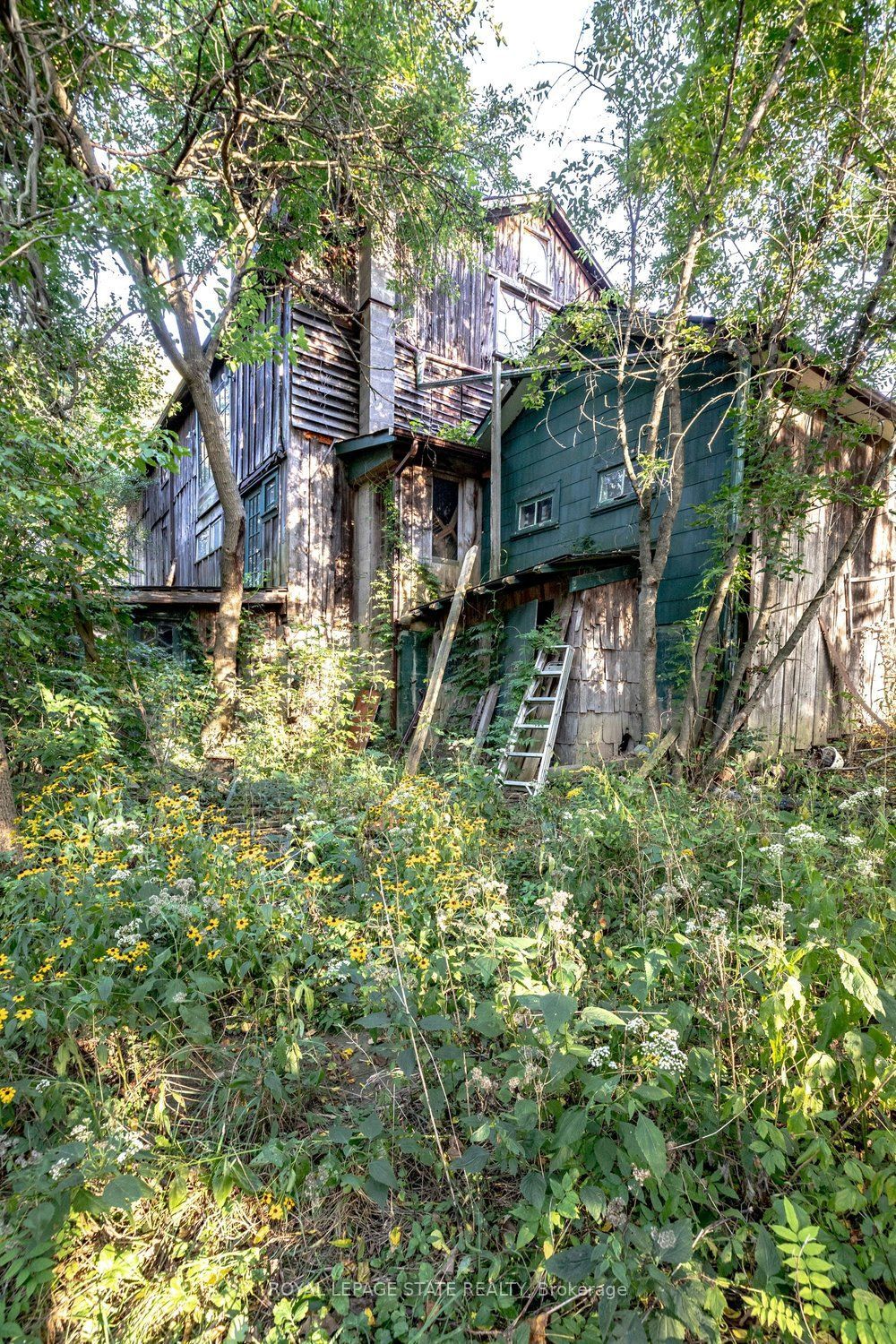 961 Lower Lions Club Road Property Photo 33