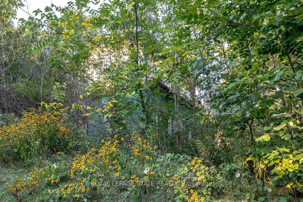 961 Lower Lions Club Road Property Photo 38