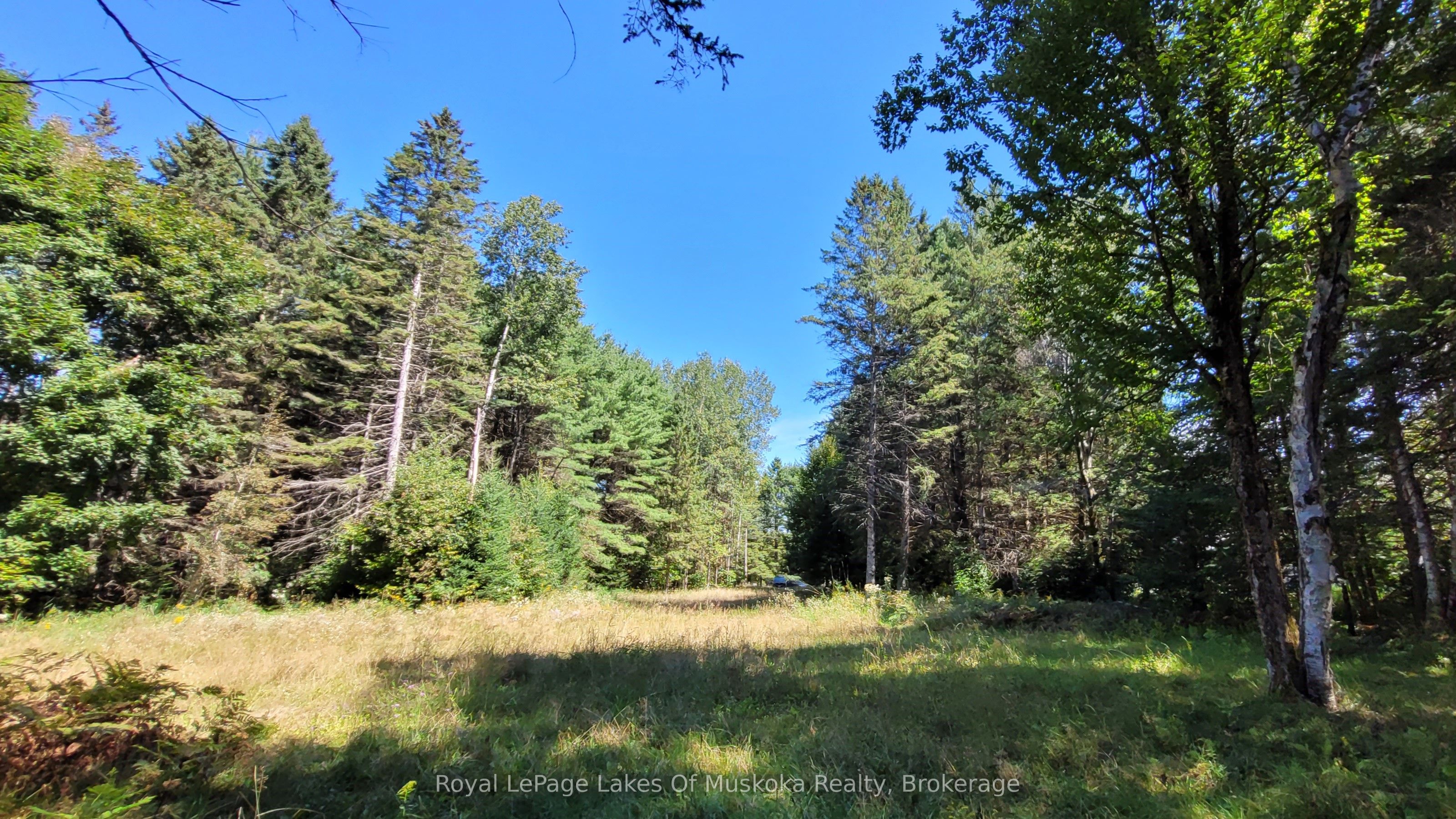 1059 Ablett Court Property Photo 2