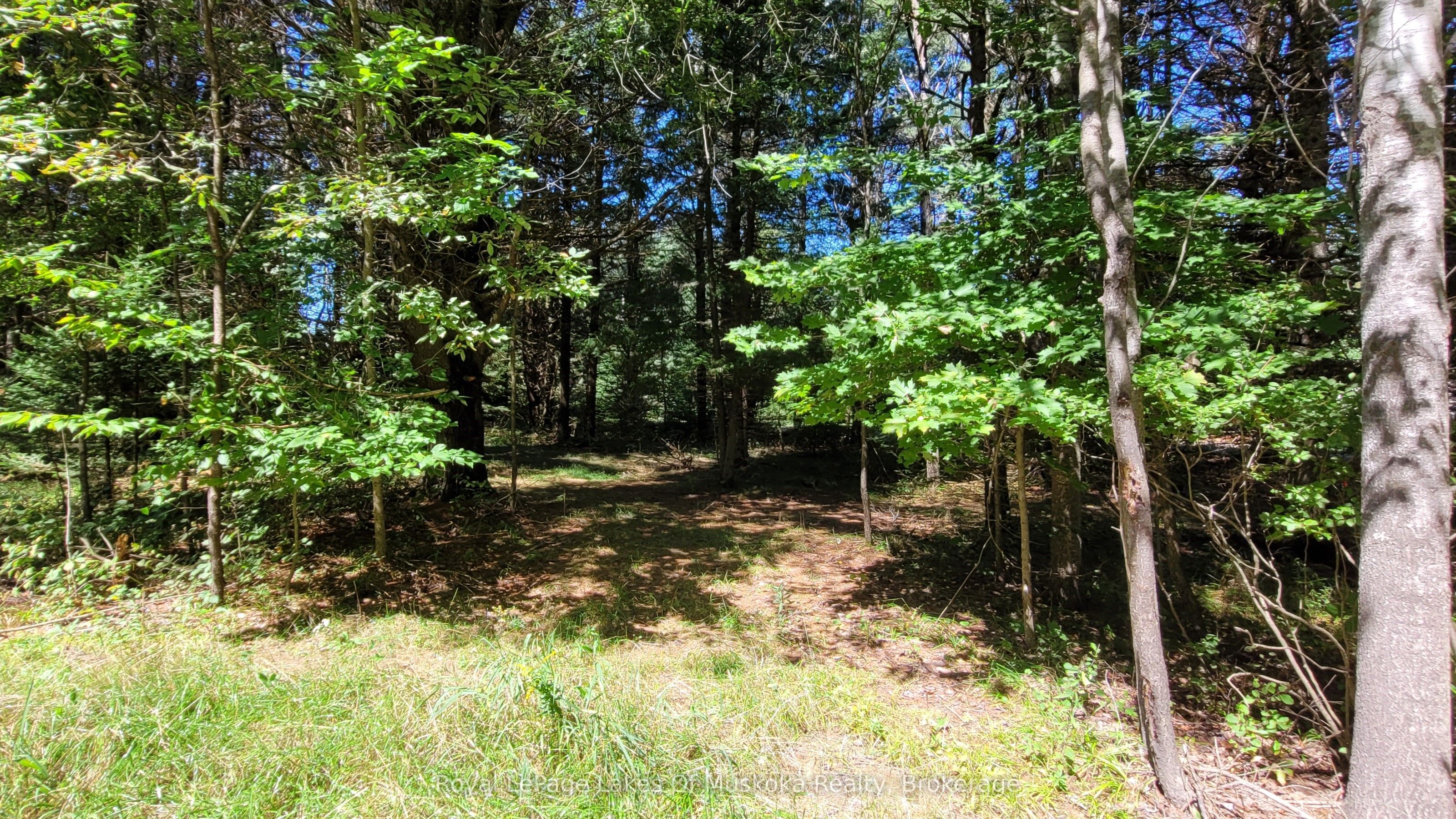 1059 Ablett Court Property Photo 4