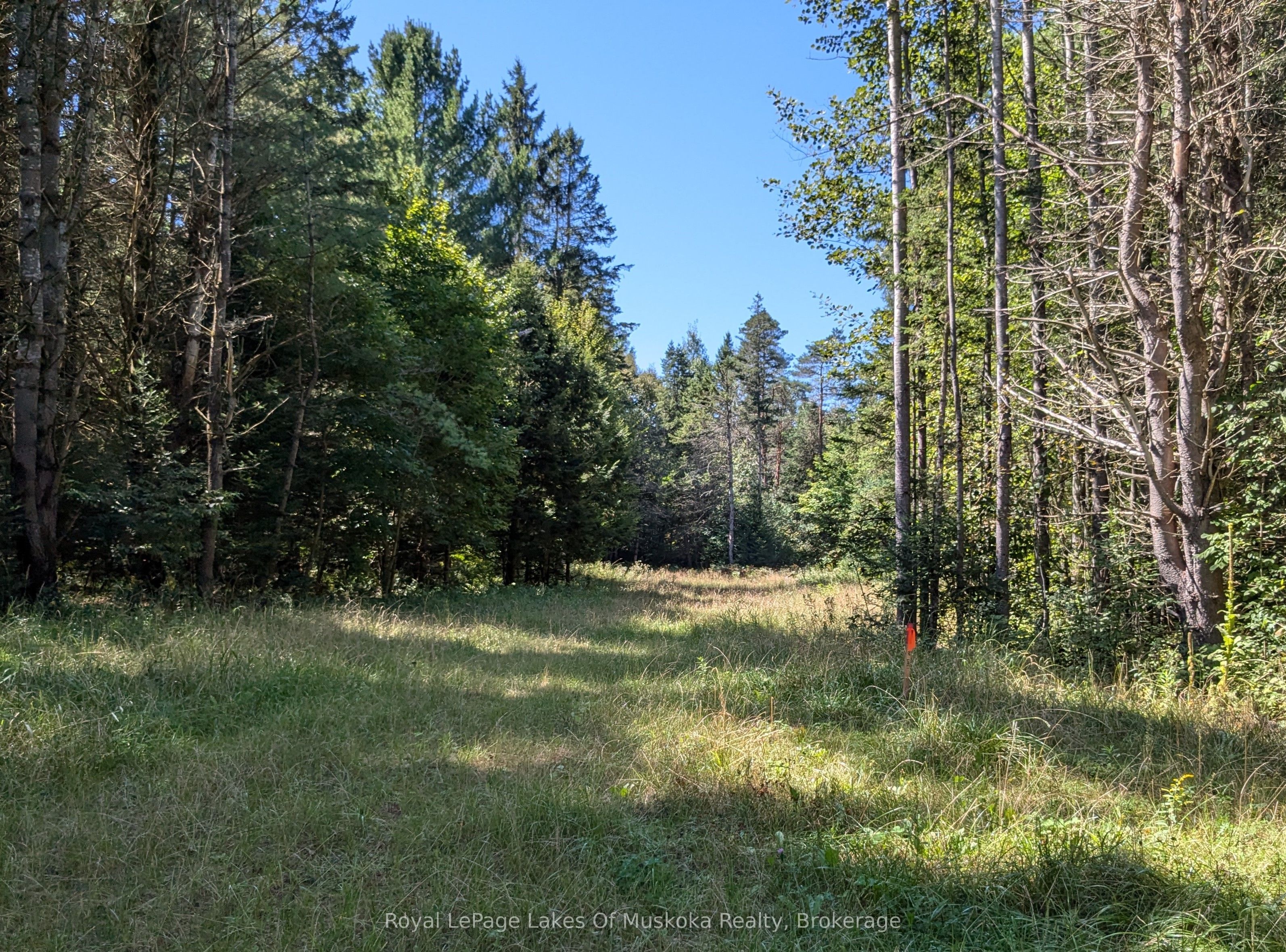 1059 Ablett Court Property Photo 9
