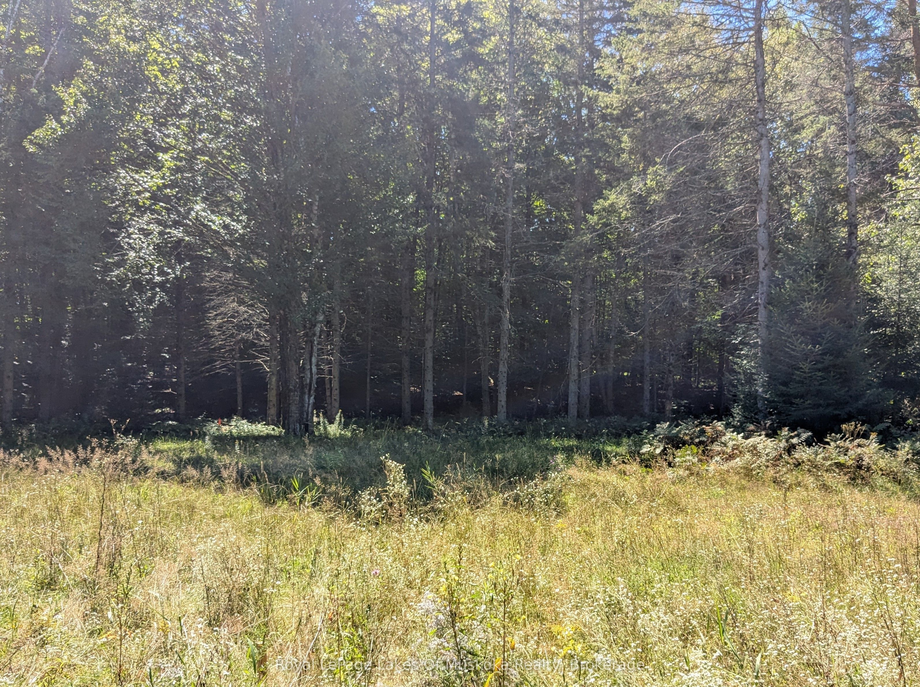 1059 Ablett Court Property Photo 10