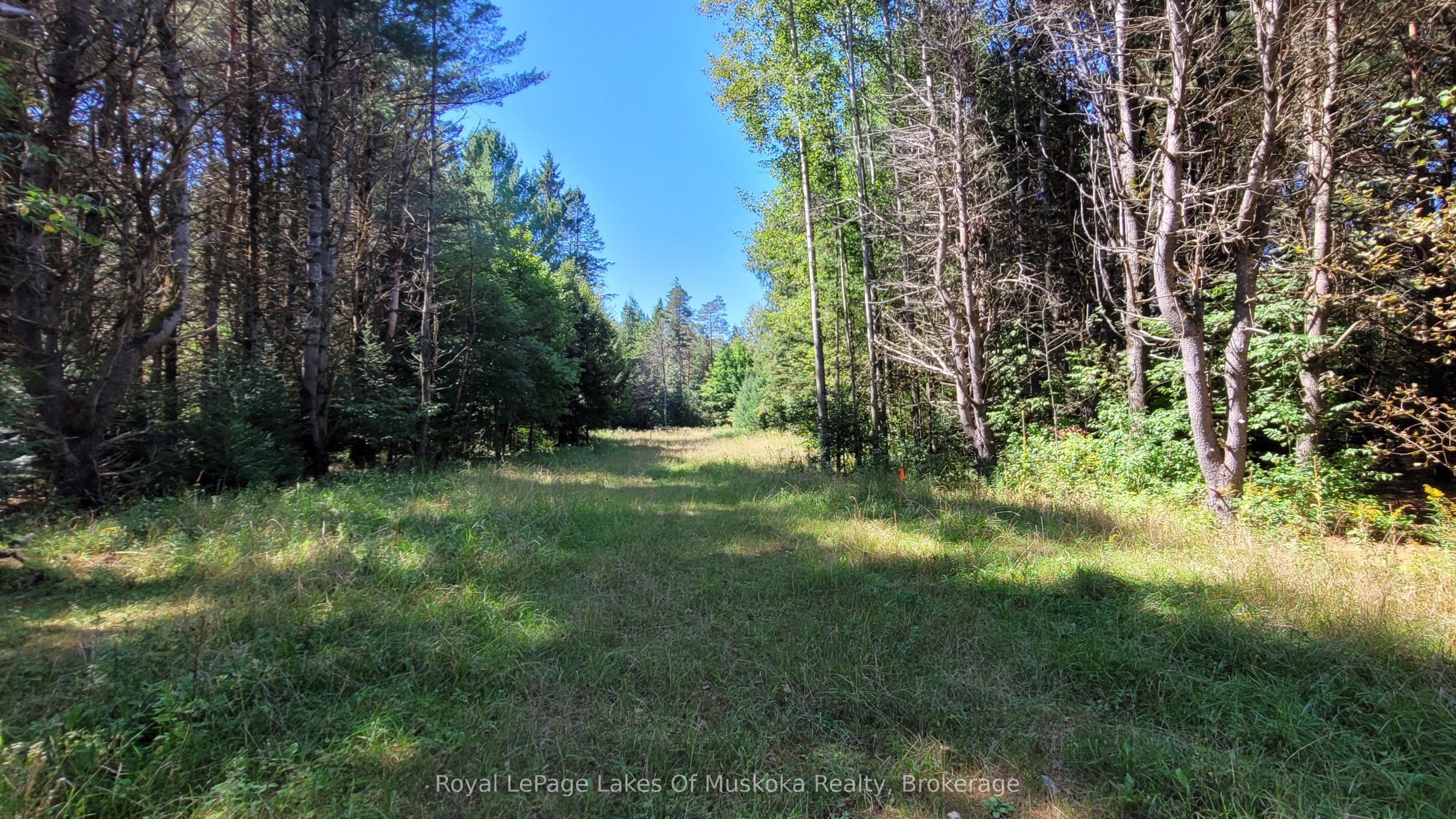 1059 Ablett Court Property Photo 11